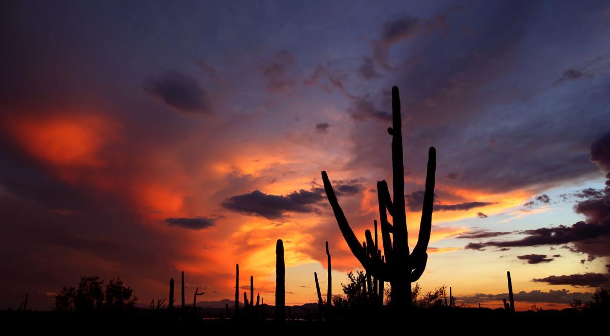 Tucson Arizona Wallpapers Top Free Tucson Arizona Backgrounds