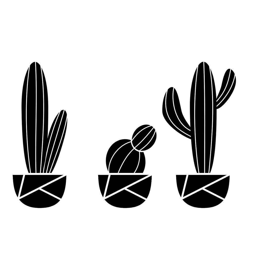 Cactus Black and White Wallpapers Top Free Cactus Black and White