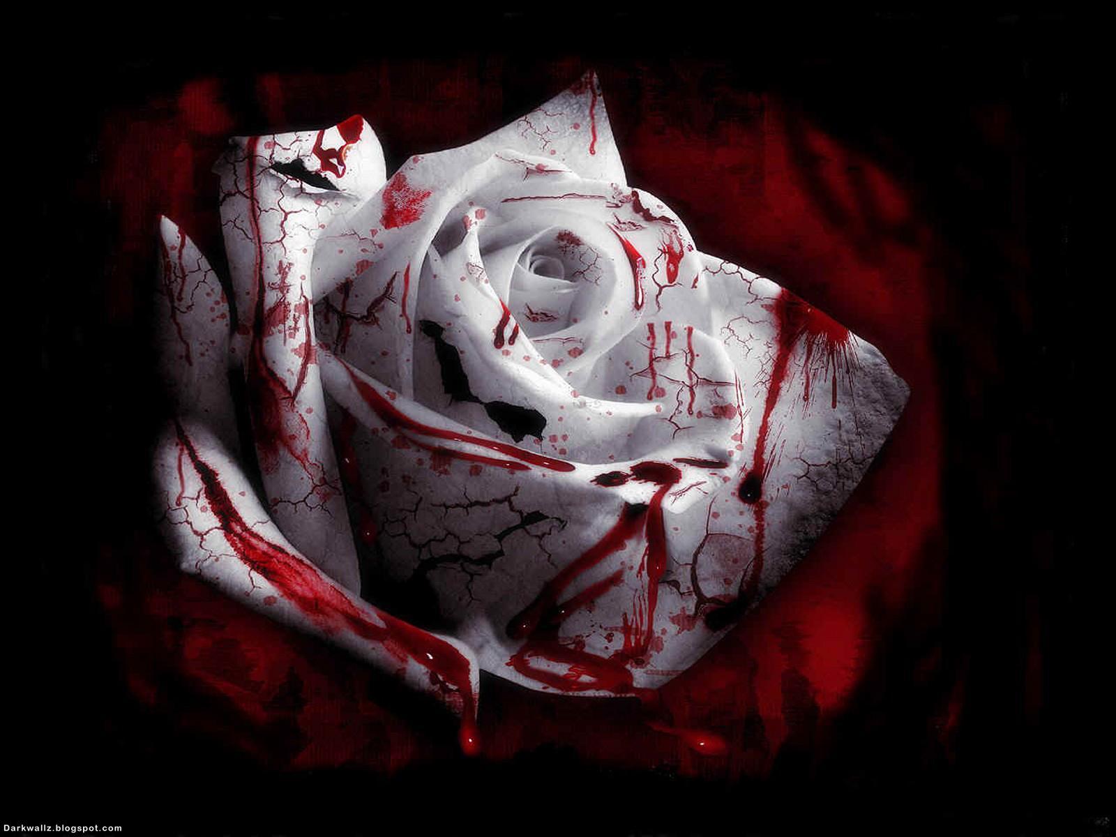 Gothic Roses HD Wallpapers Top Free Gothic Roses HD Backgrounds