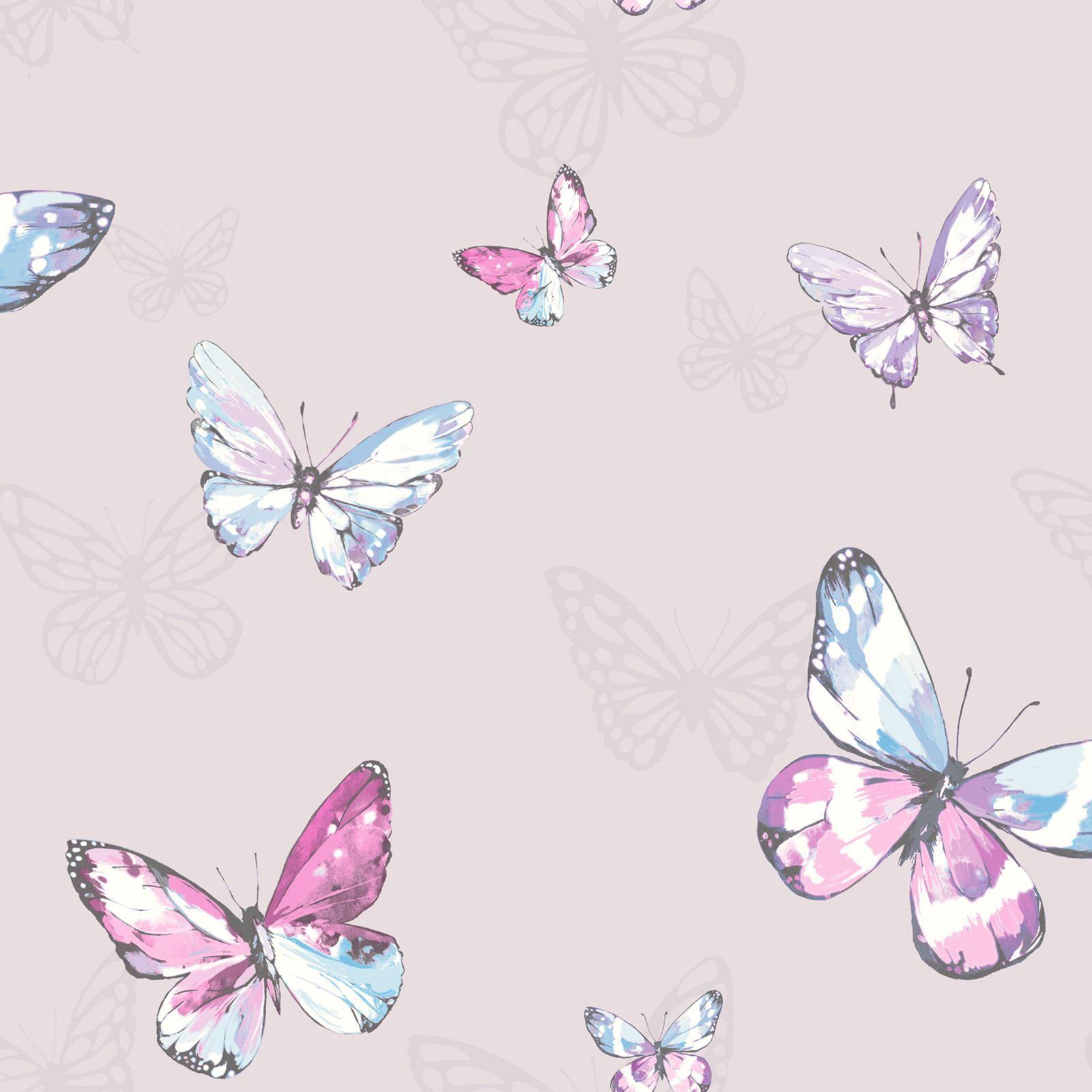 Pink Butterfly Wallpapers Top Free Pink Butterfly Backgrounds