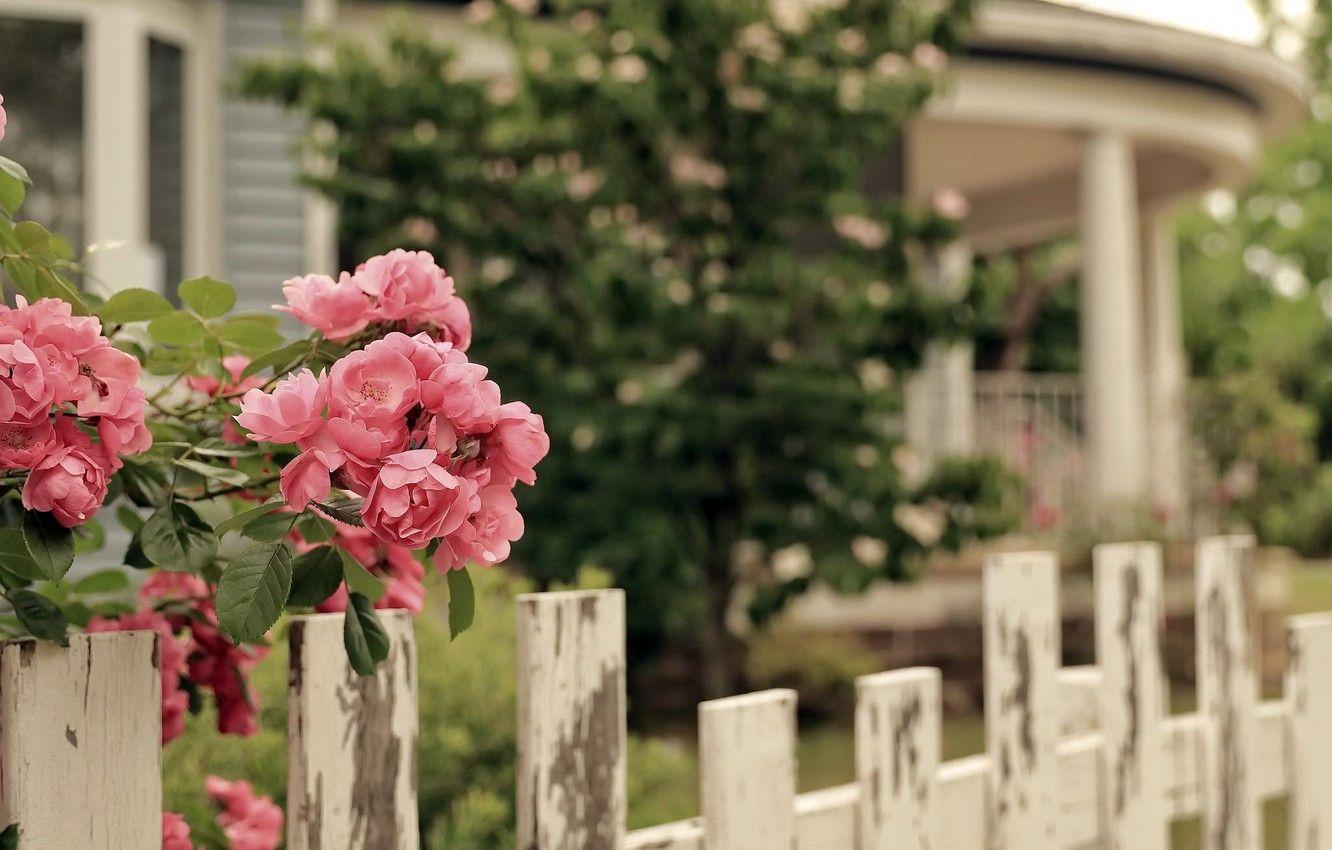 Flower House Wallpapers Top Free Flower House Backgrounds