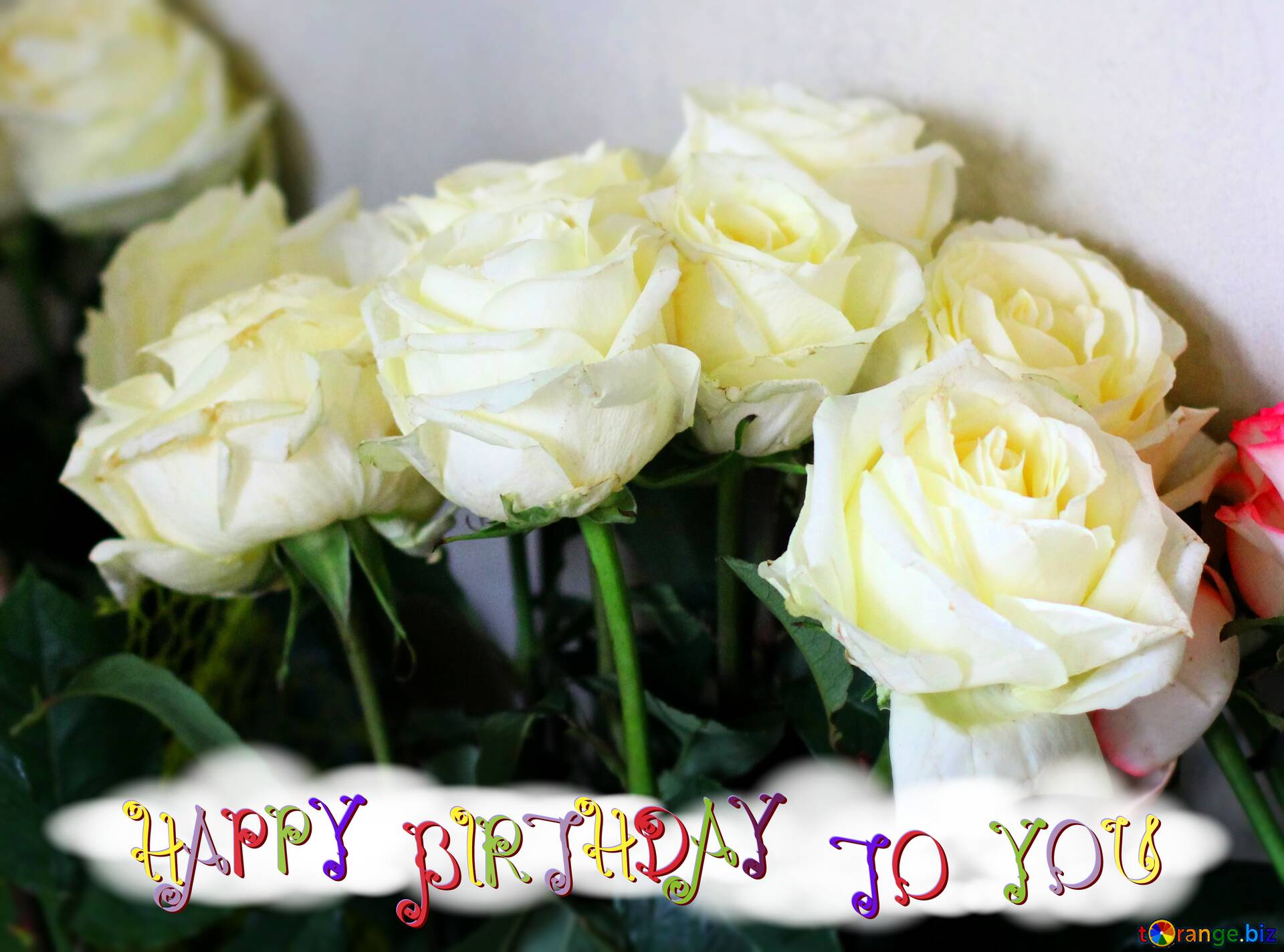 Happy Birthday Flower Wallpapers Top Free Happy Birthday Flower