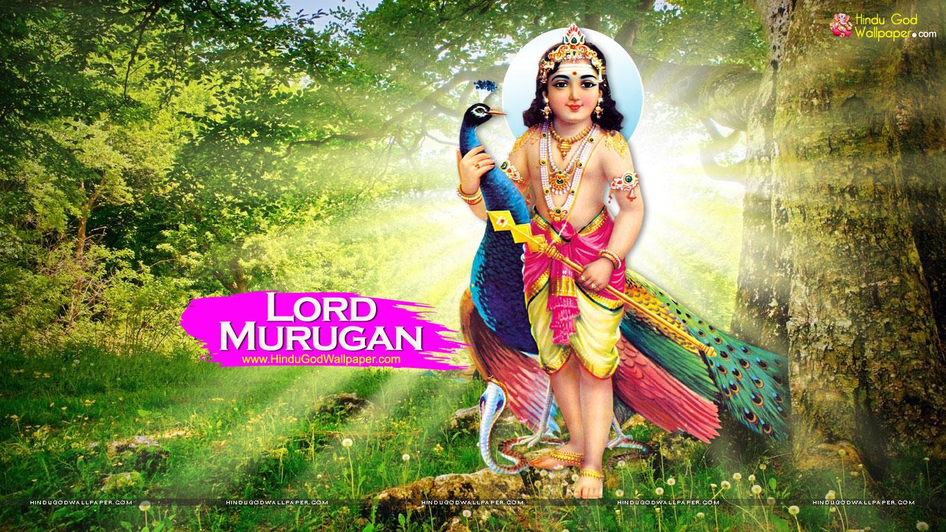 Baby Murugan Wallpapers Top Free Baby Murugan Backgrounds