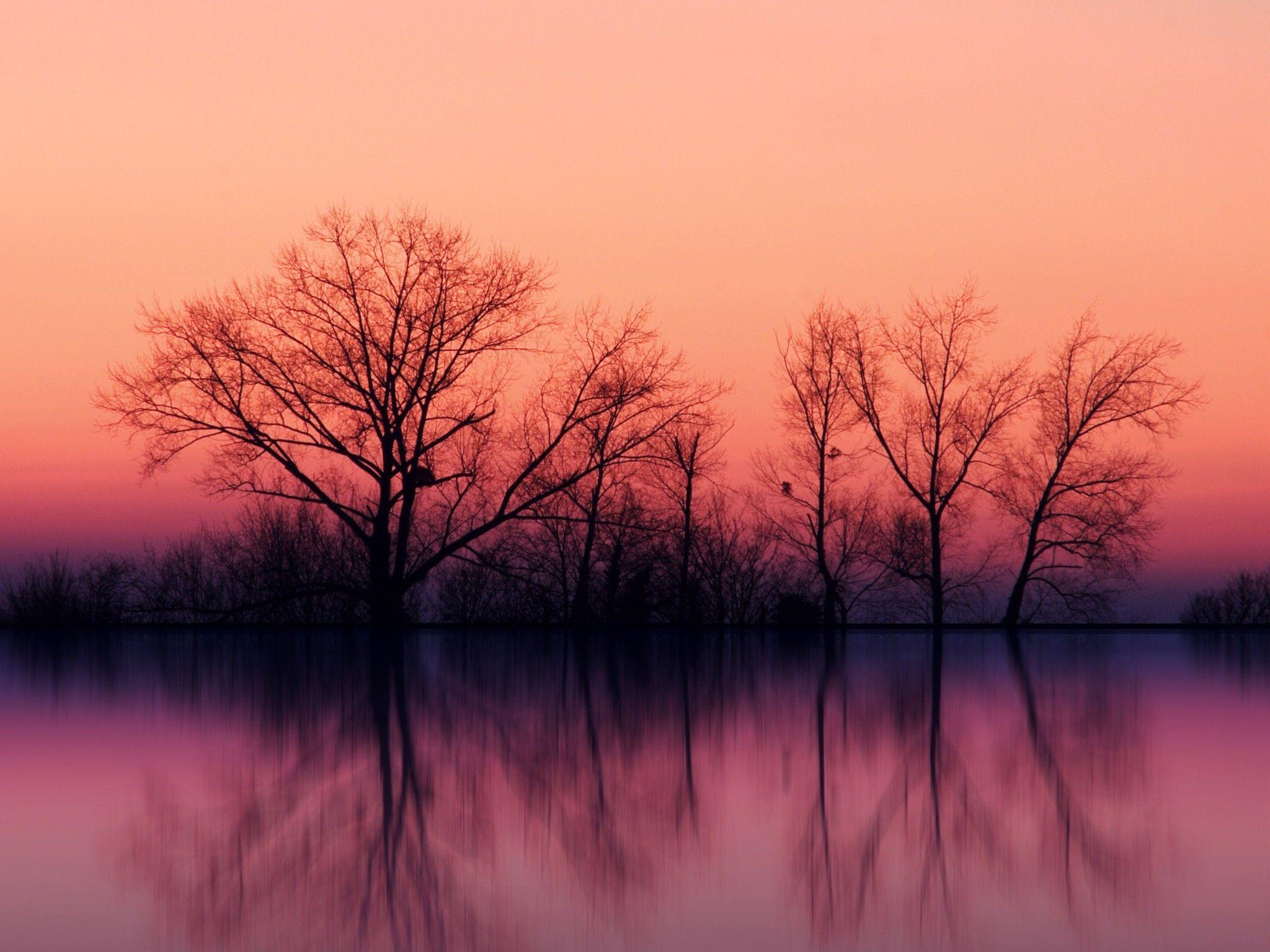 iPad Nature Wallpapers Top Free iPad Nature Backgrounds WallpaperAccess