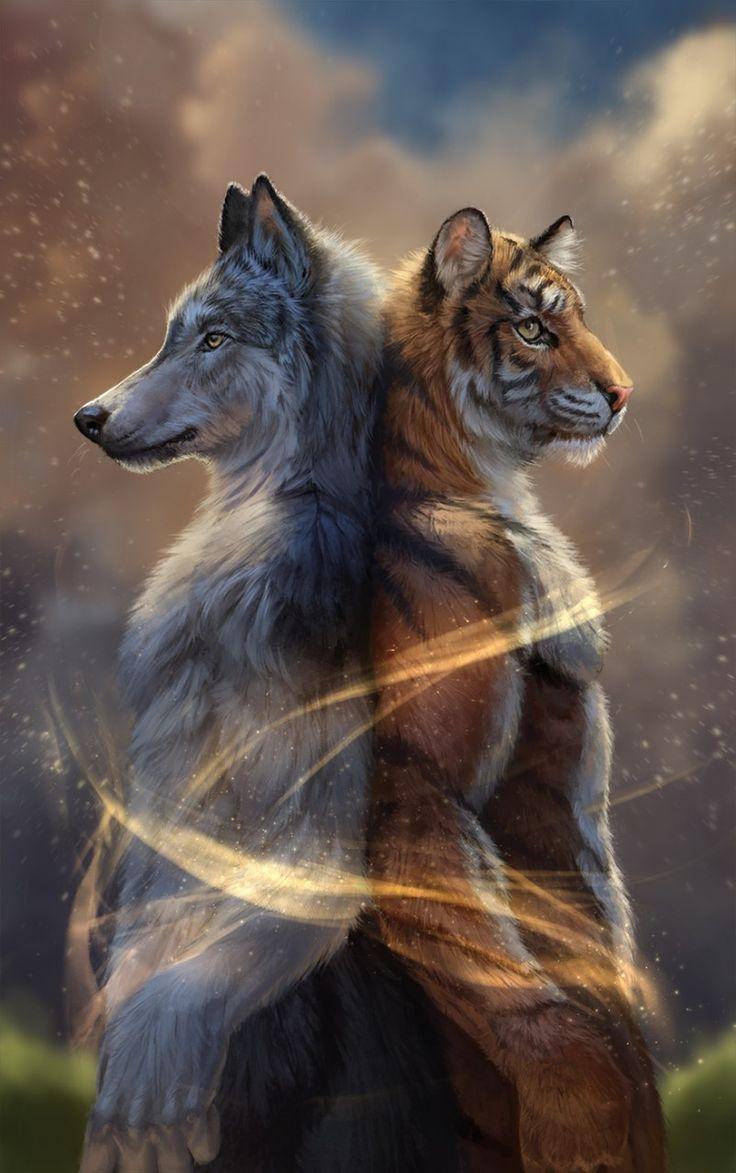 Wolf Vs Tiger Wallpaper Lion Vs Wolf Wallpaper Wolf Wallpapers Images