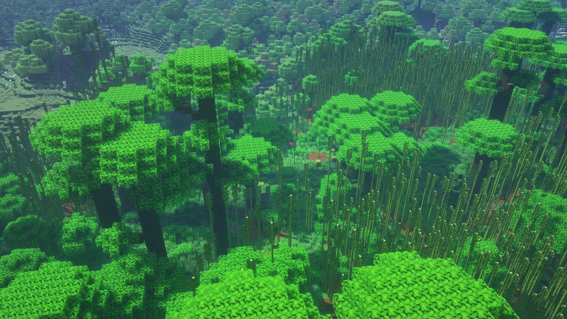 Minecraft Jungle Wallpapers Top Free Minecraft Jungle Backgrounds