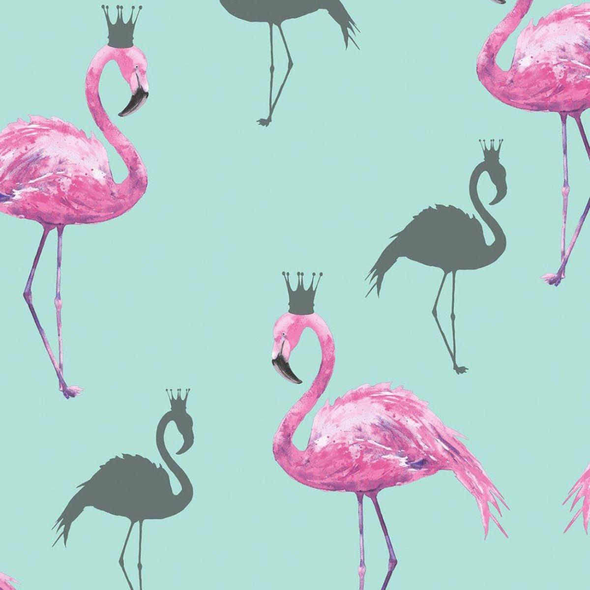 Retro Flamingo Wallpapers Top Free Retro Flamingo Backgrounds