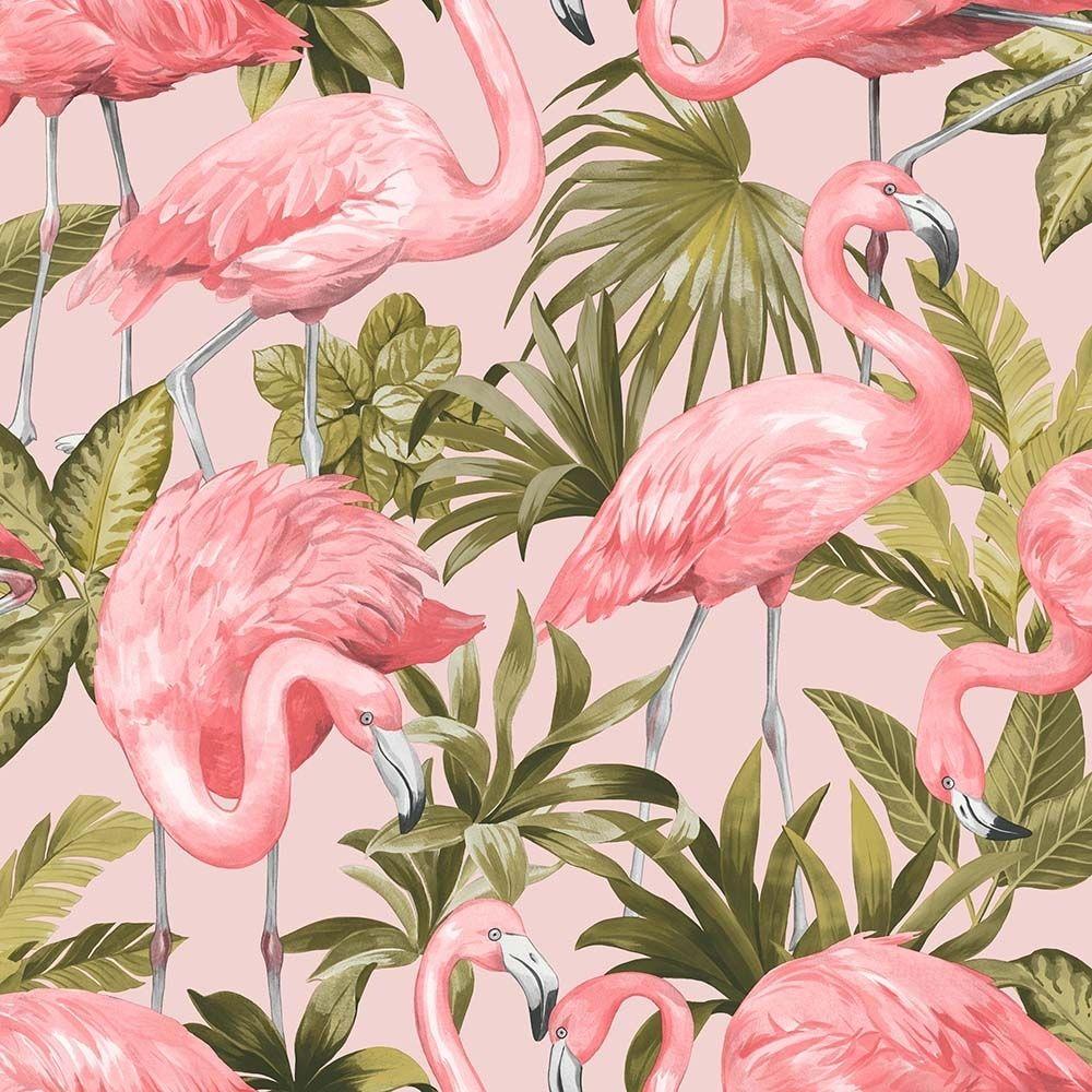 Retro Flamingo Wallpapers Top Free Retro Flamingo Backgrounds
