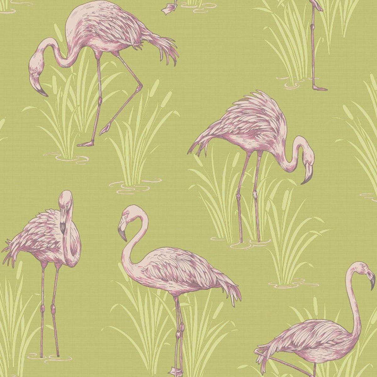 Retro Flamingo Wallpapers Top Free Retro Flamingo Backgrounds