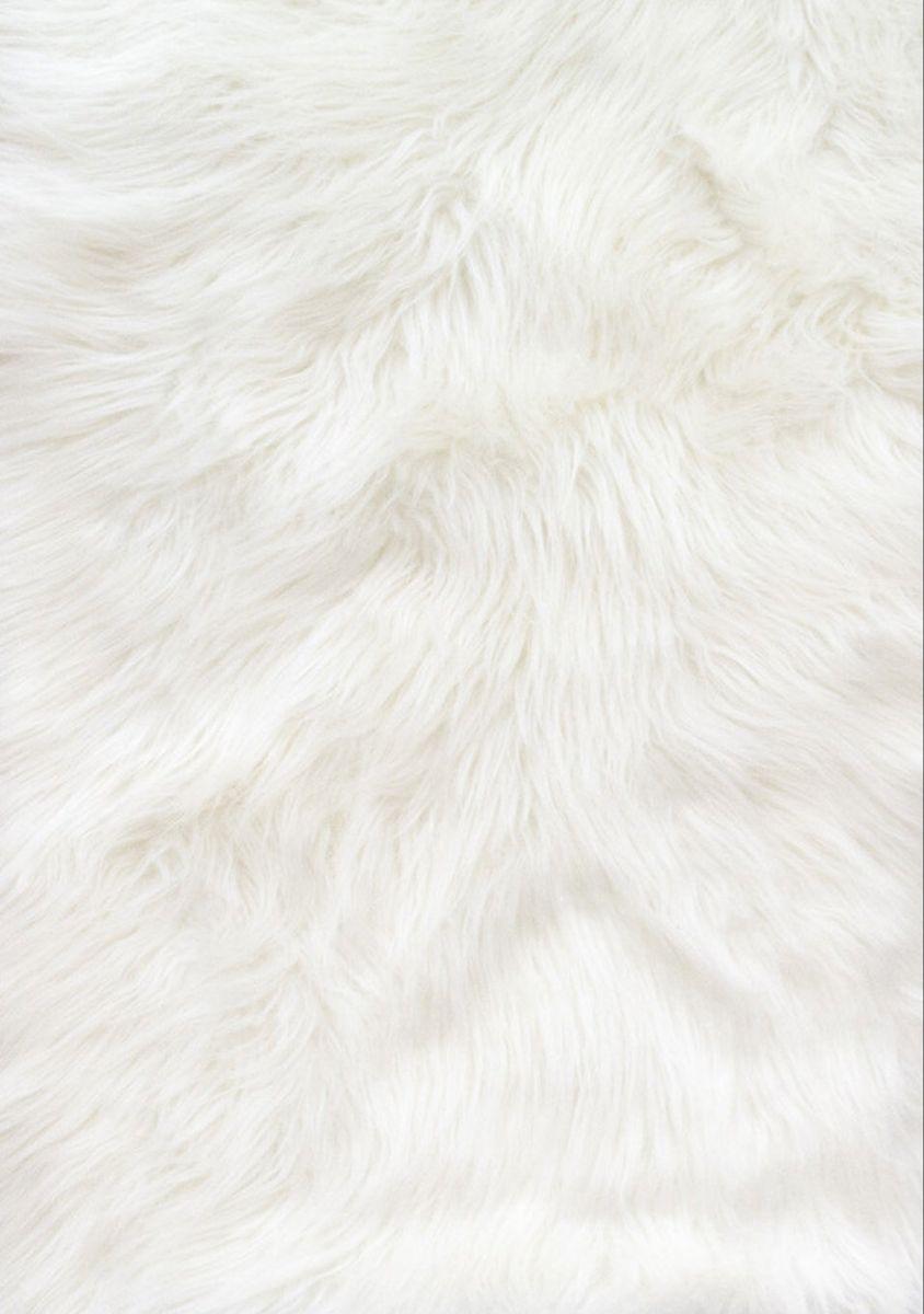 White Fur Wallpapers Top Free White Fur Backgrounds WallpaperAccess
