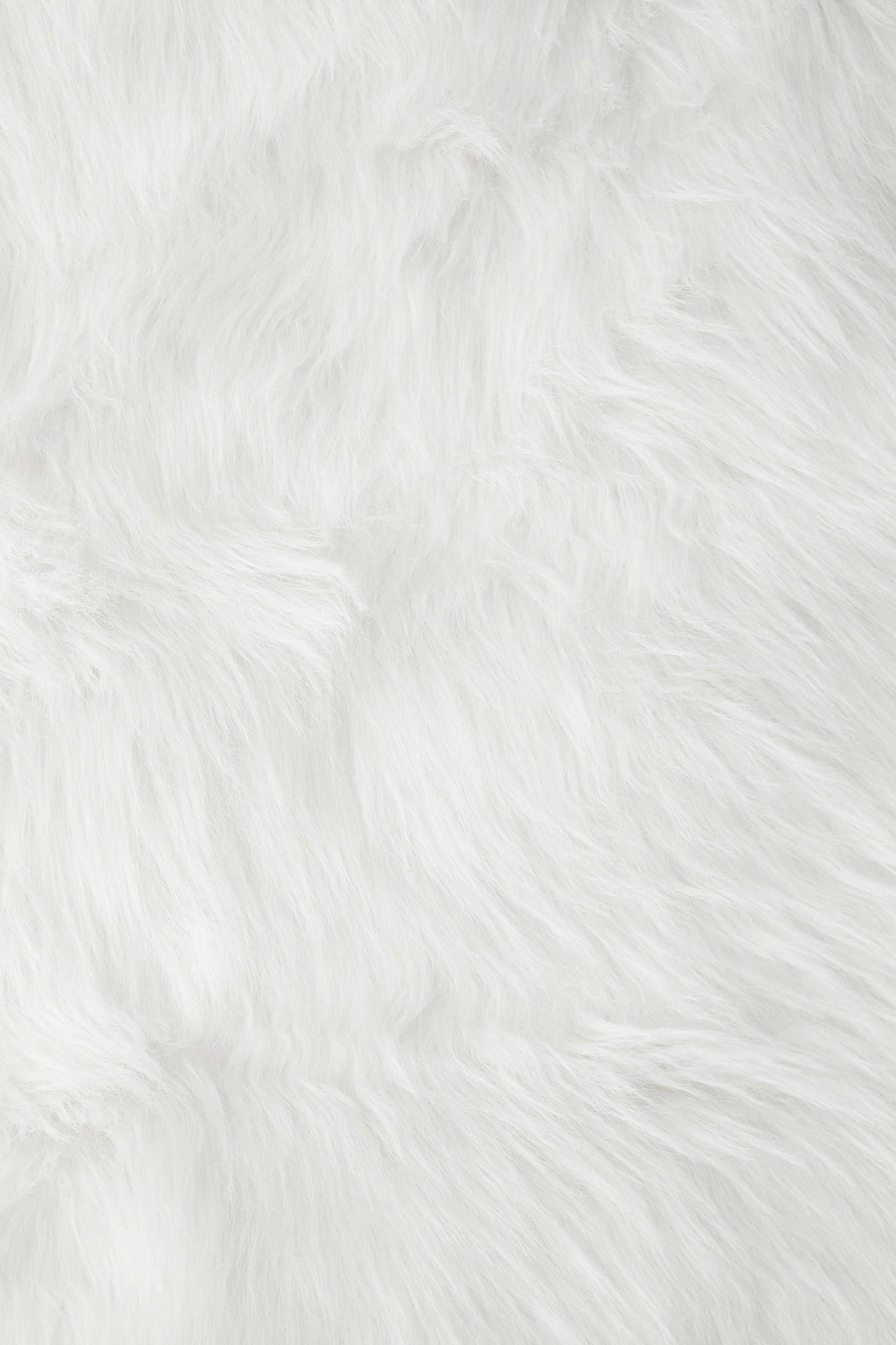 White Fur Wallpapers Top Free White Fur Backgrounds WallpaperAccess
