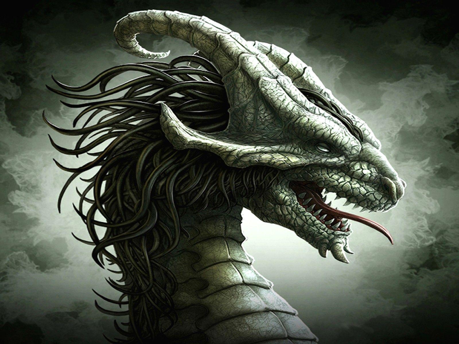 Horror Dragon Wallpapers Top Free Horror Dragon Backgrounds