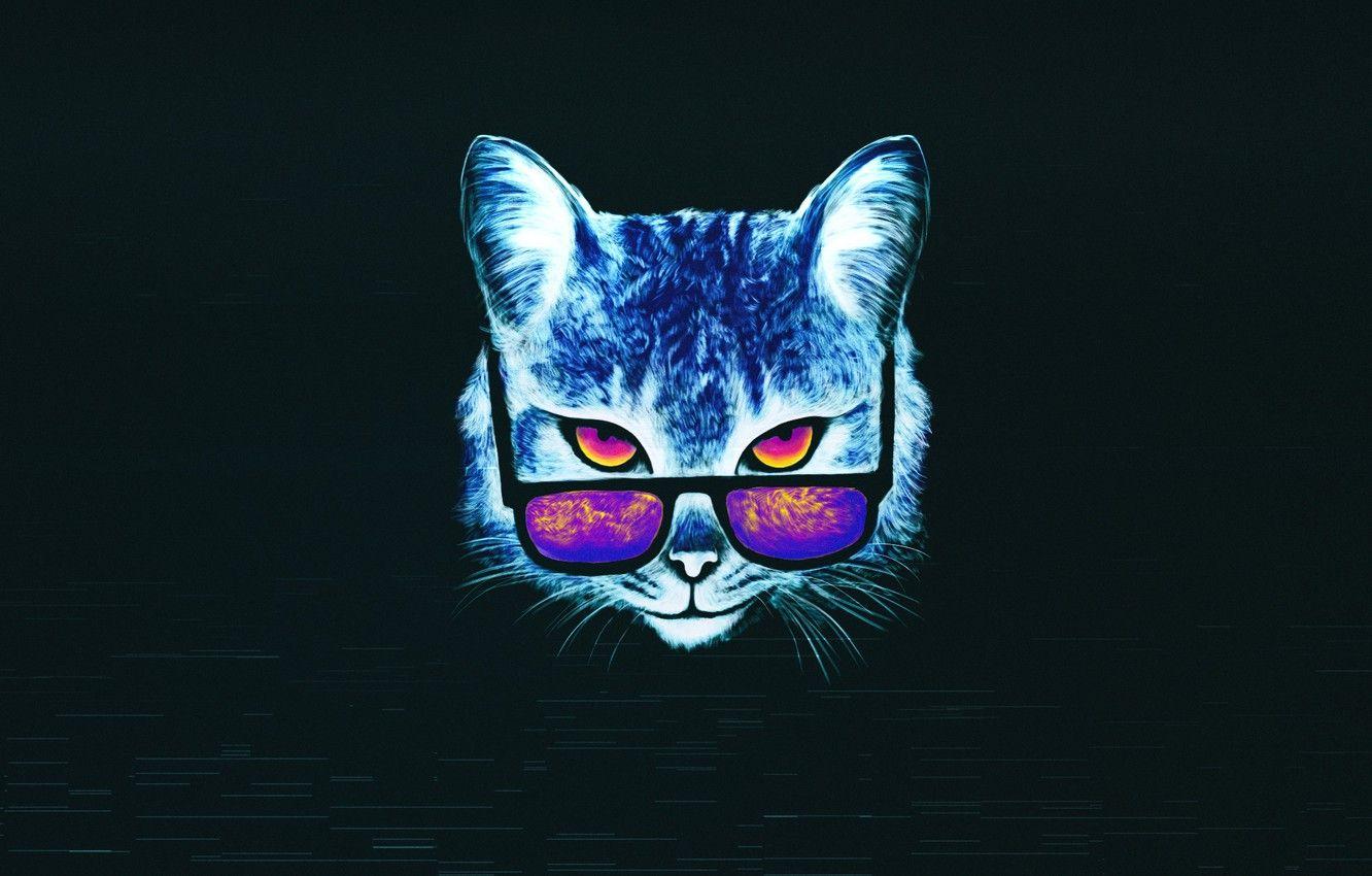 Neon Cat HD Wallpapers Top Free Neon Cat HD Backgrounds WallpaperAccess
