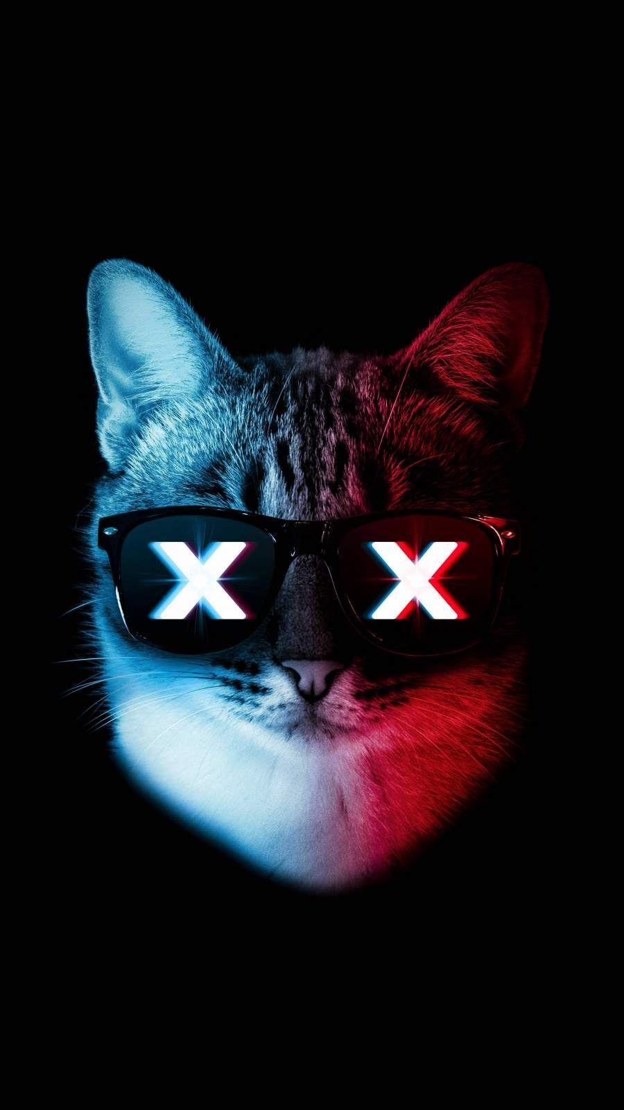 Neon Cat HD Wallpapers Top Free Neon Cat HD Backgrounds WallpaperAccess