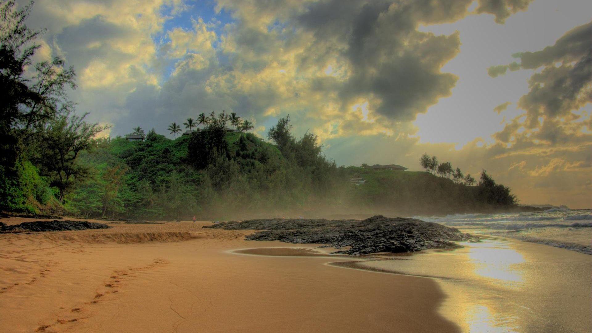 Jungle Beach Wallpapers Top Free Jungle Beach Backgrounds