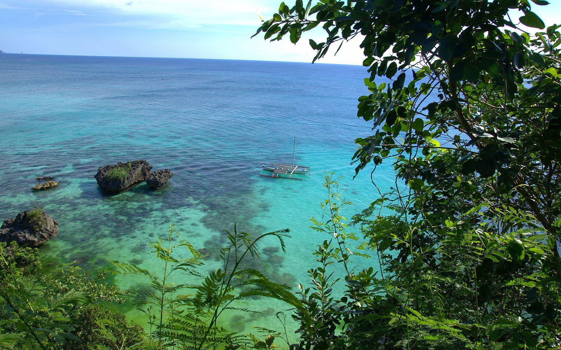 Jungle Beach Wallpapers Top Free Jungle Beach Backgrounds