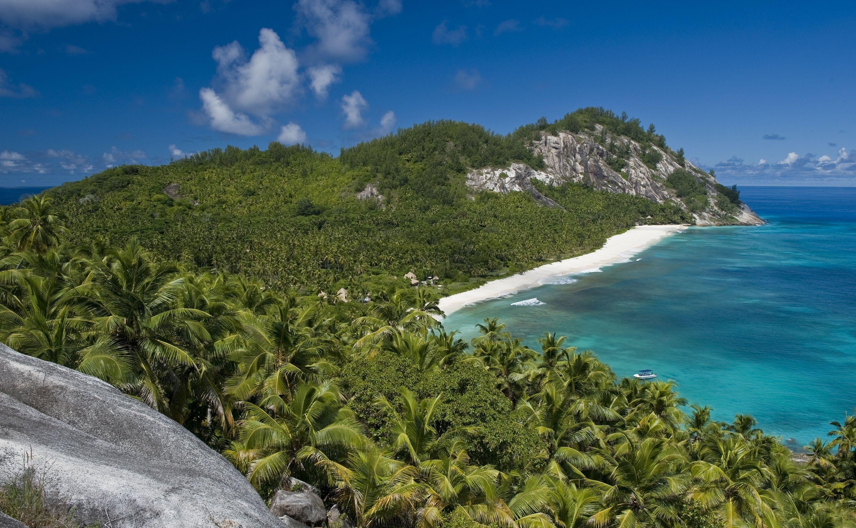 Jungle Beach Wallpapers Top Free Jungle Beach Backgrounds