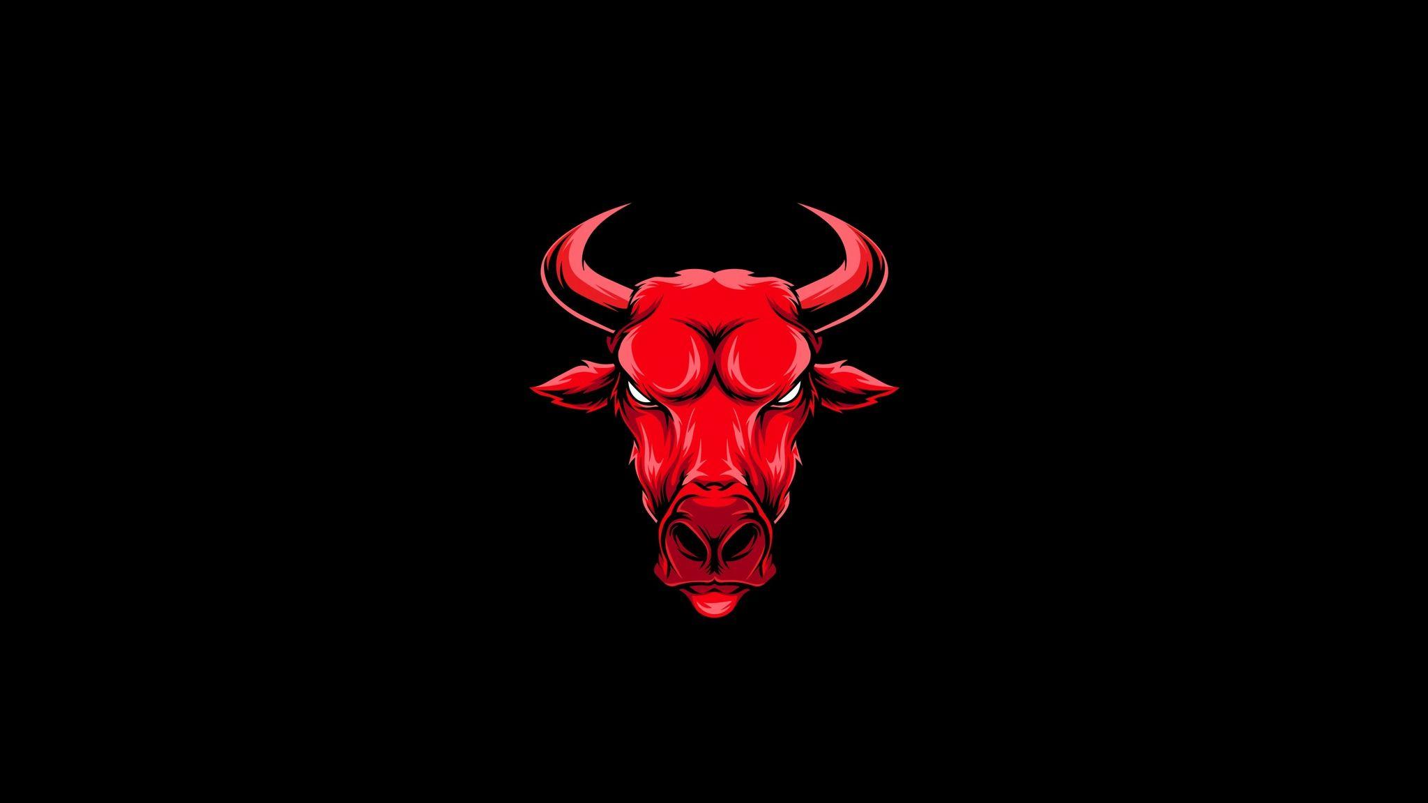 4K Red Bull Wallpapers Top Free 4K Red Bull Backgrounds WallpaperAccess