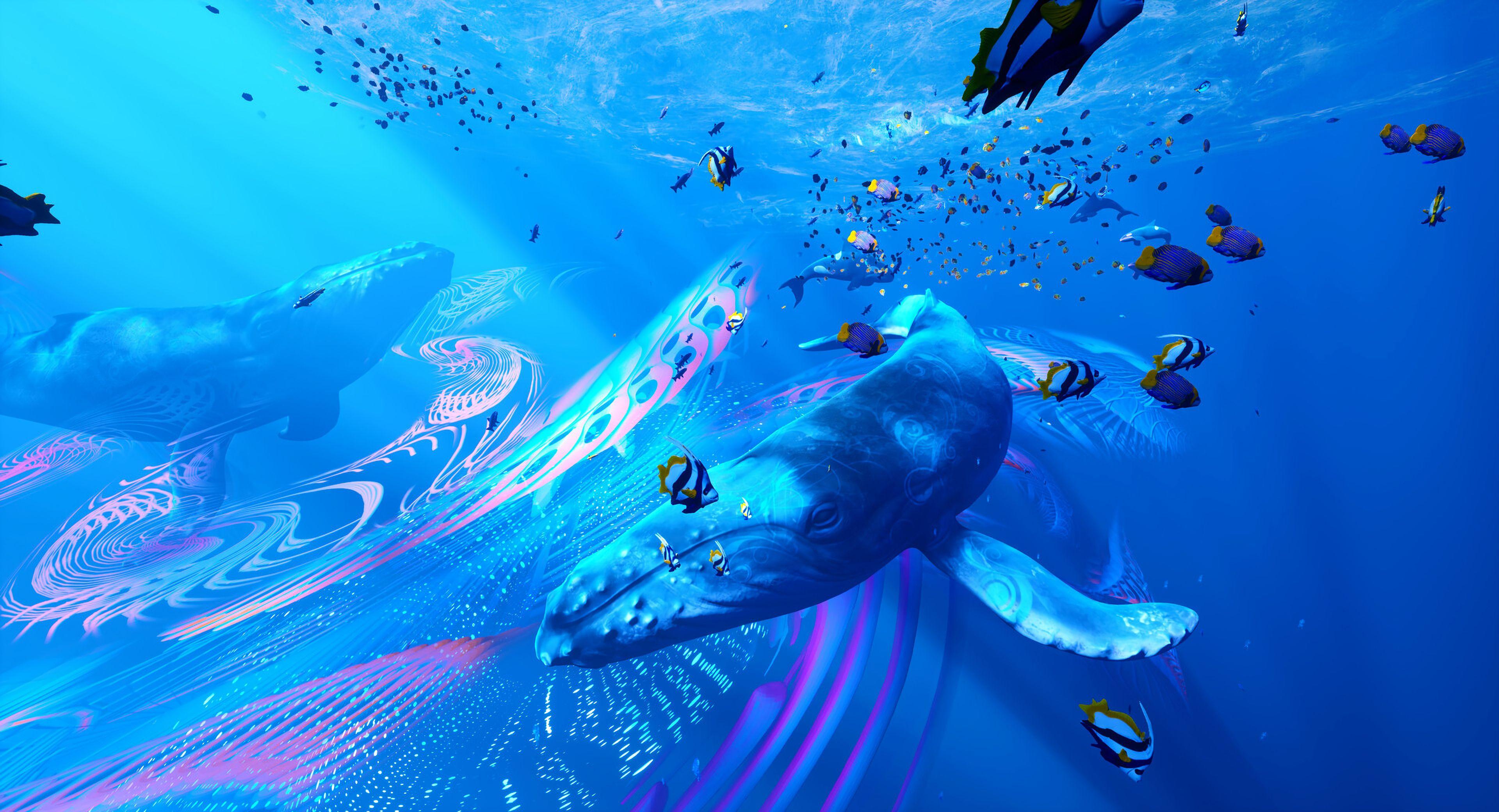 Underwater Laptop Wallpapers Top Free Underwater Laptop Backgrounds
