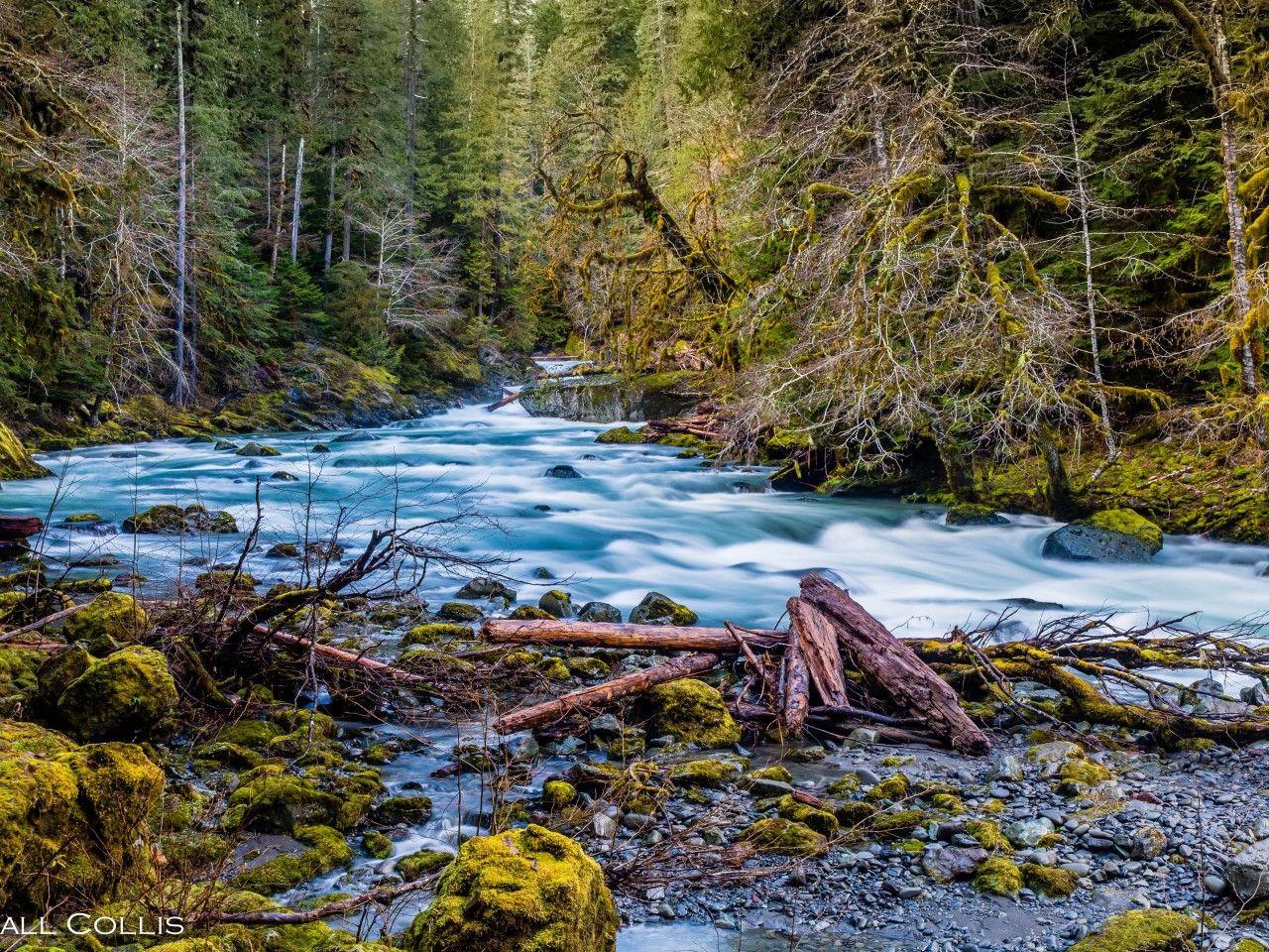 Forks Washington Wallpapers Top Free Forks Washington Backgrounds