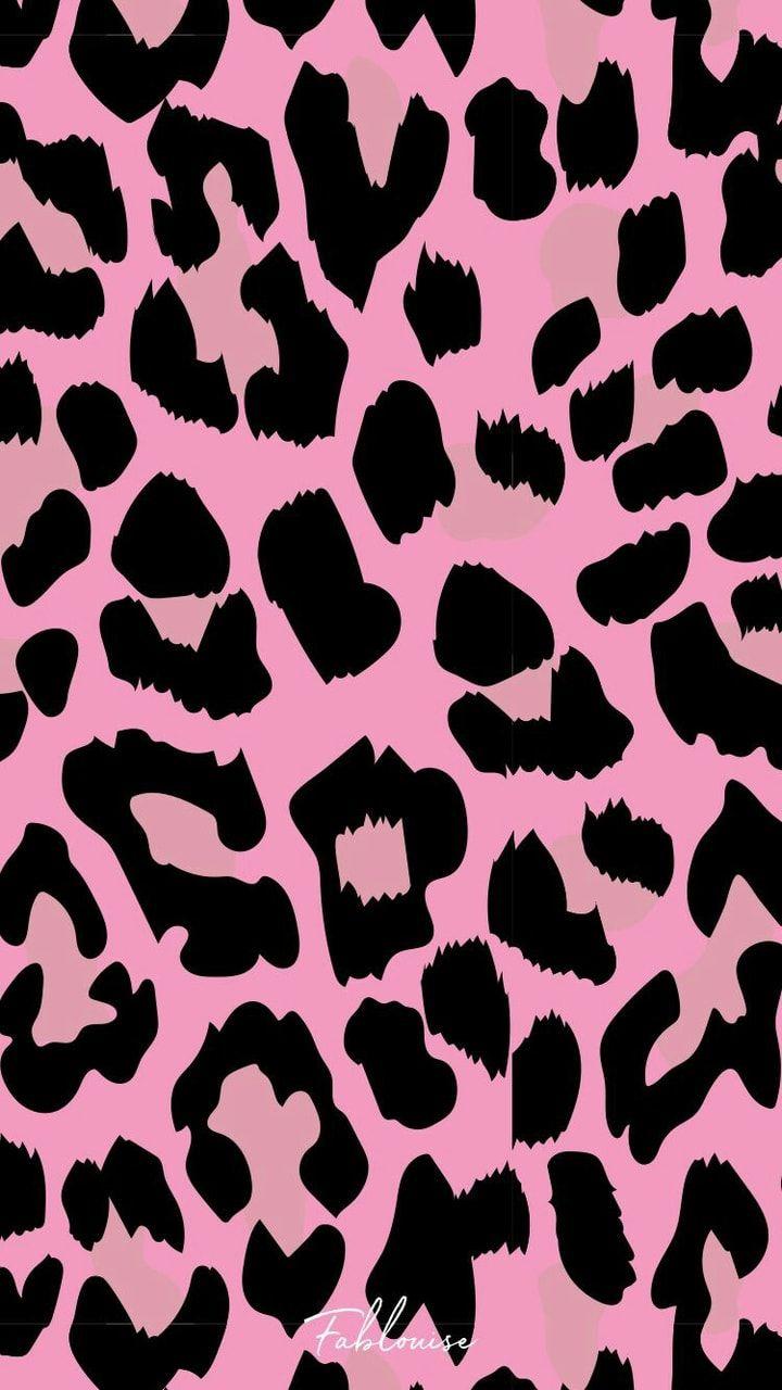 Pink Cow Print Wallpapers Top Free Pink Cow Print Backgrounds