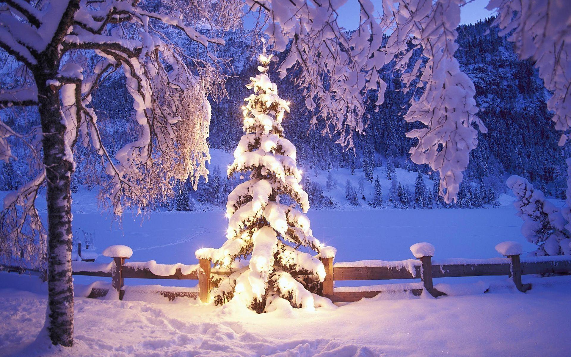 Outdoor Christmas Wallpapers Top Free Outdoor Christmas Backgrounds