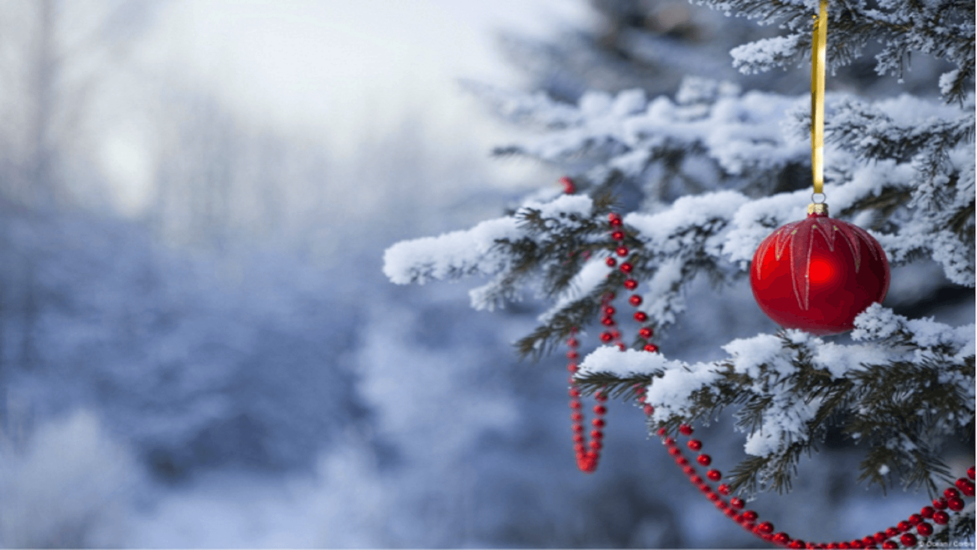 Outdoor Christmas Wallpapers Top Free Outdoor Christmas Backgrounds