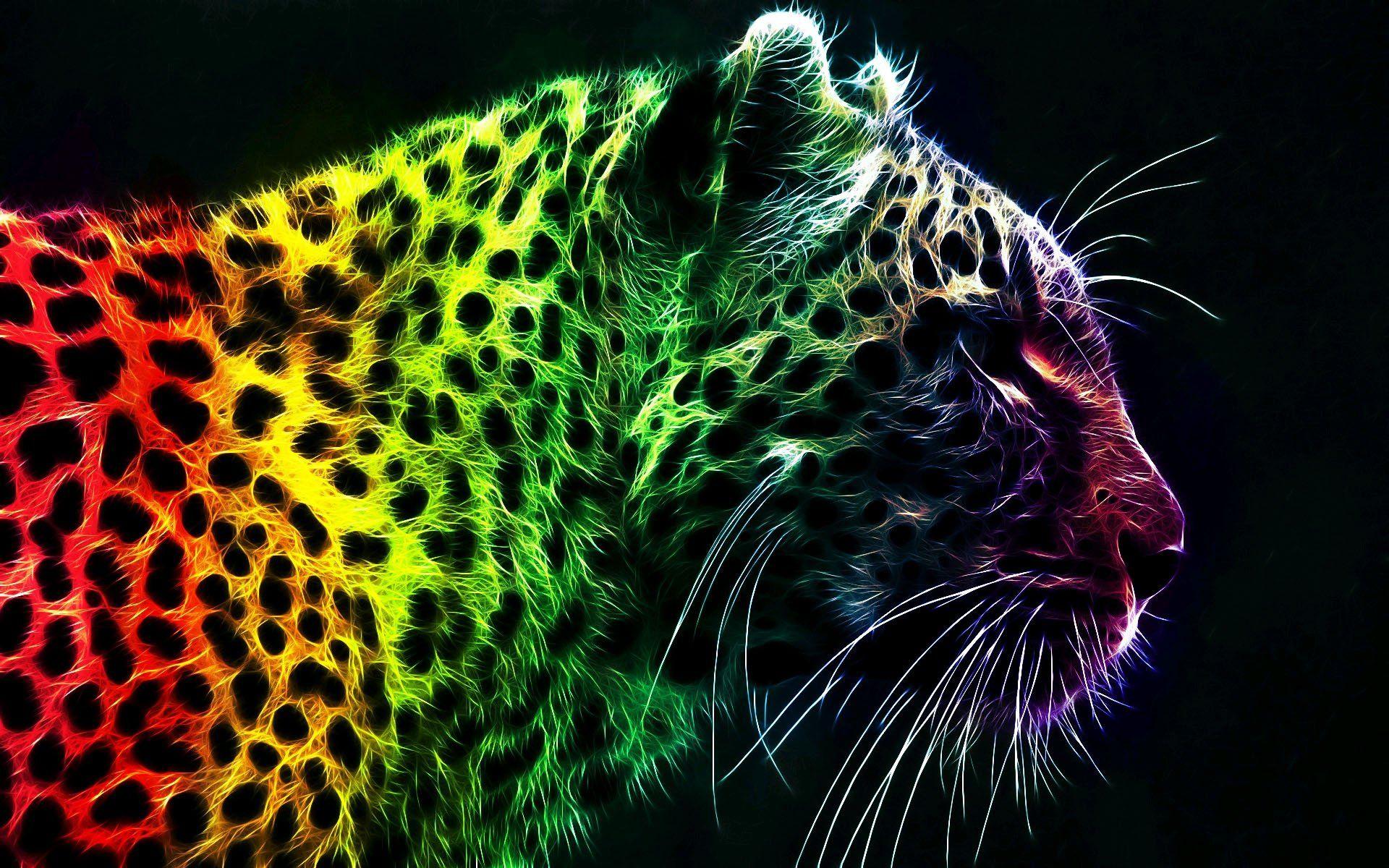 Cool Colorful Animal Wallpapers Top Free Cool Colorful Animal