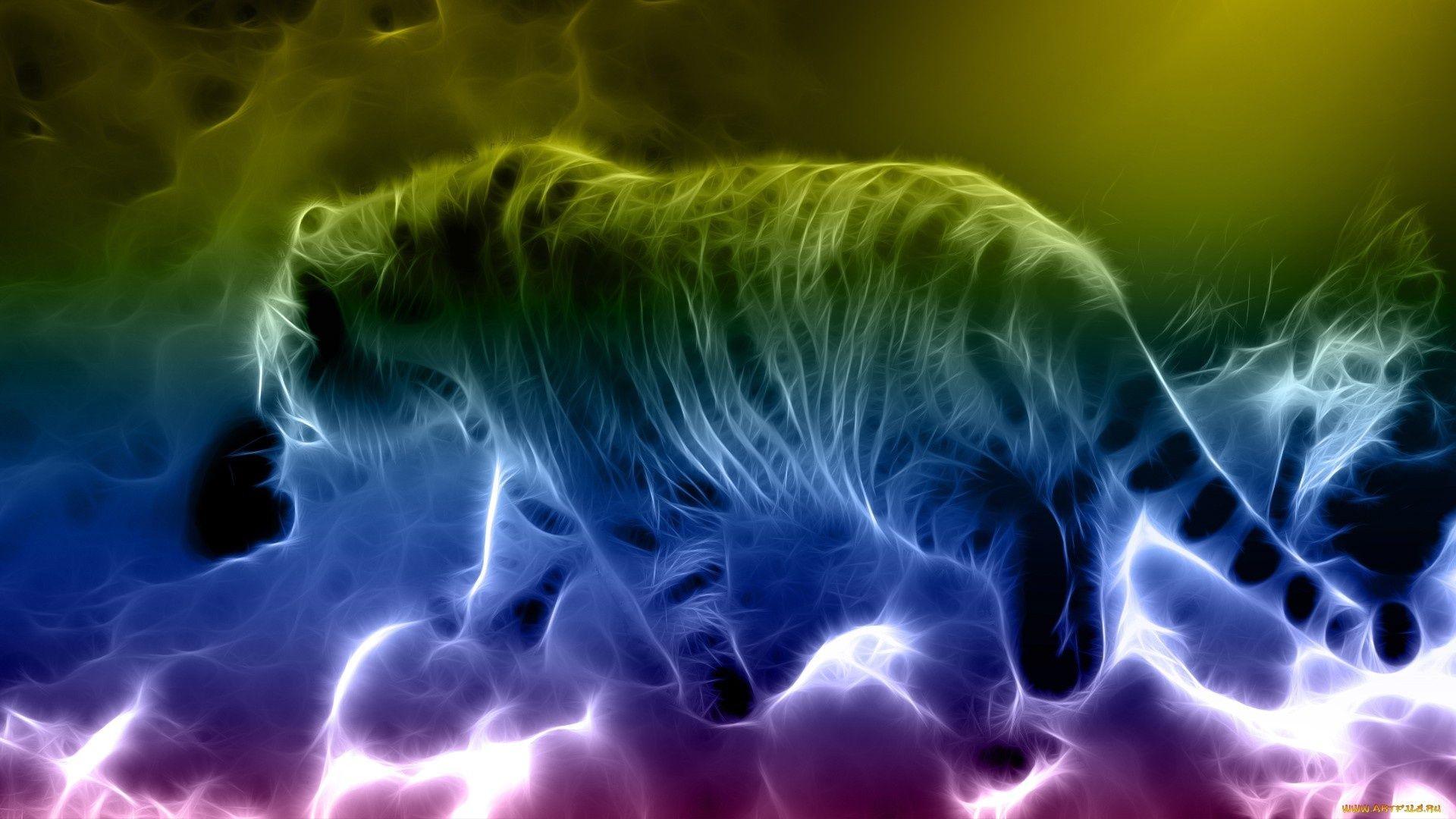 Cool Colorful Animal Wallpapers Top Free Cool Colorful Animal