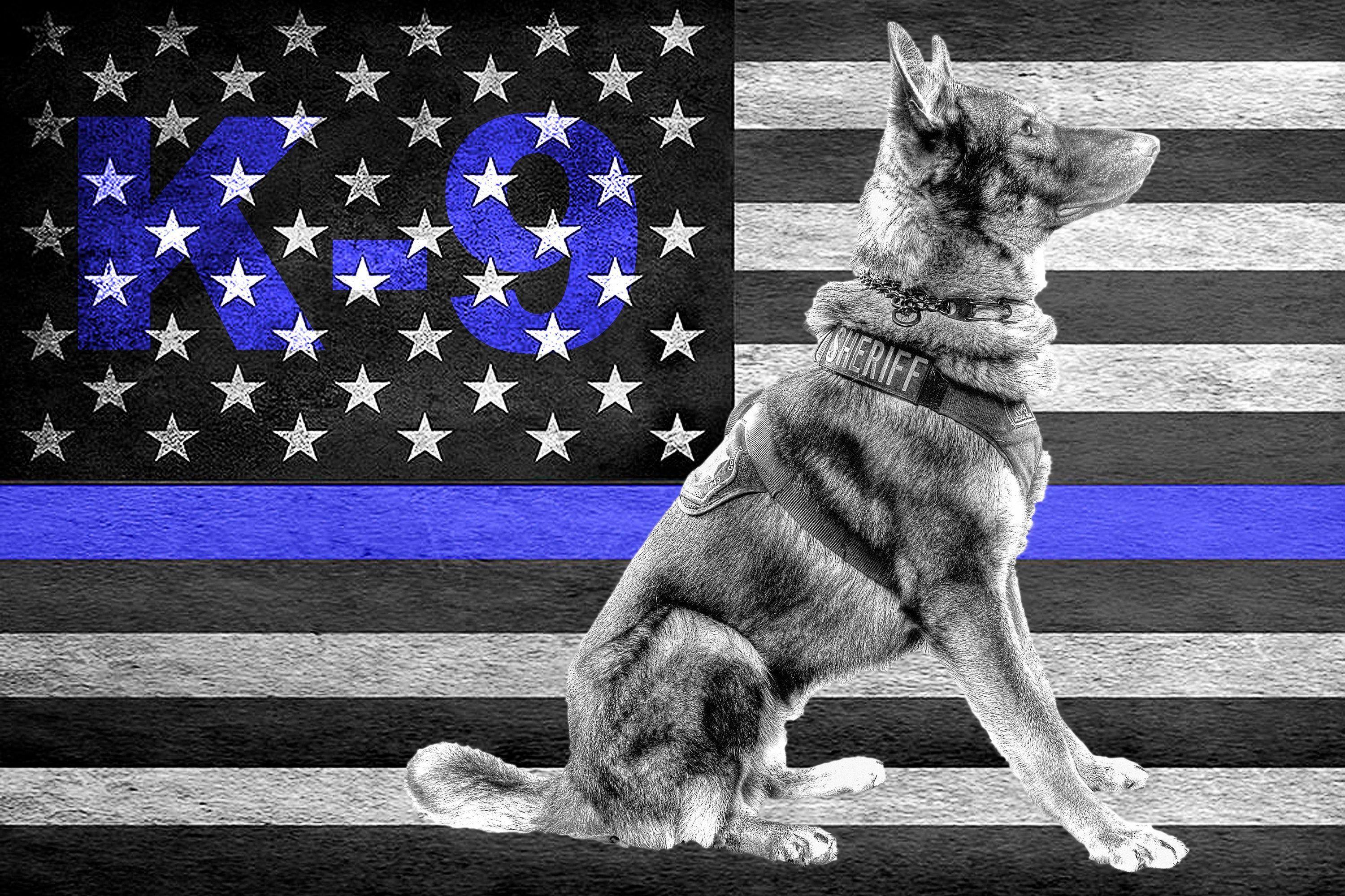 Thin Blue Line K9 Wallpaper carrotapp