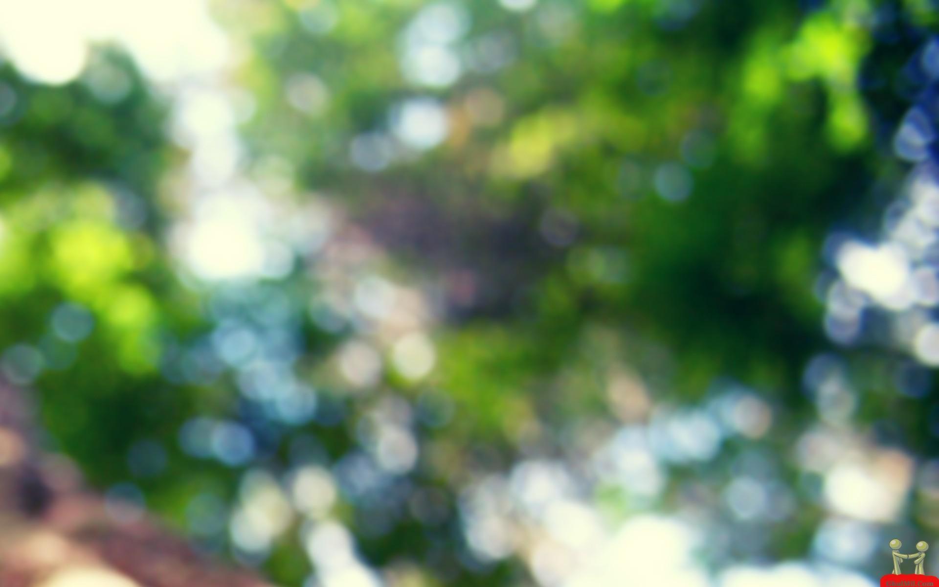 Nature Blur Wallpapers Top Free Nature Blur Backgrounds WallpaperAccess