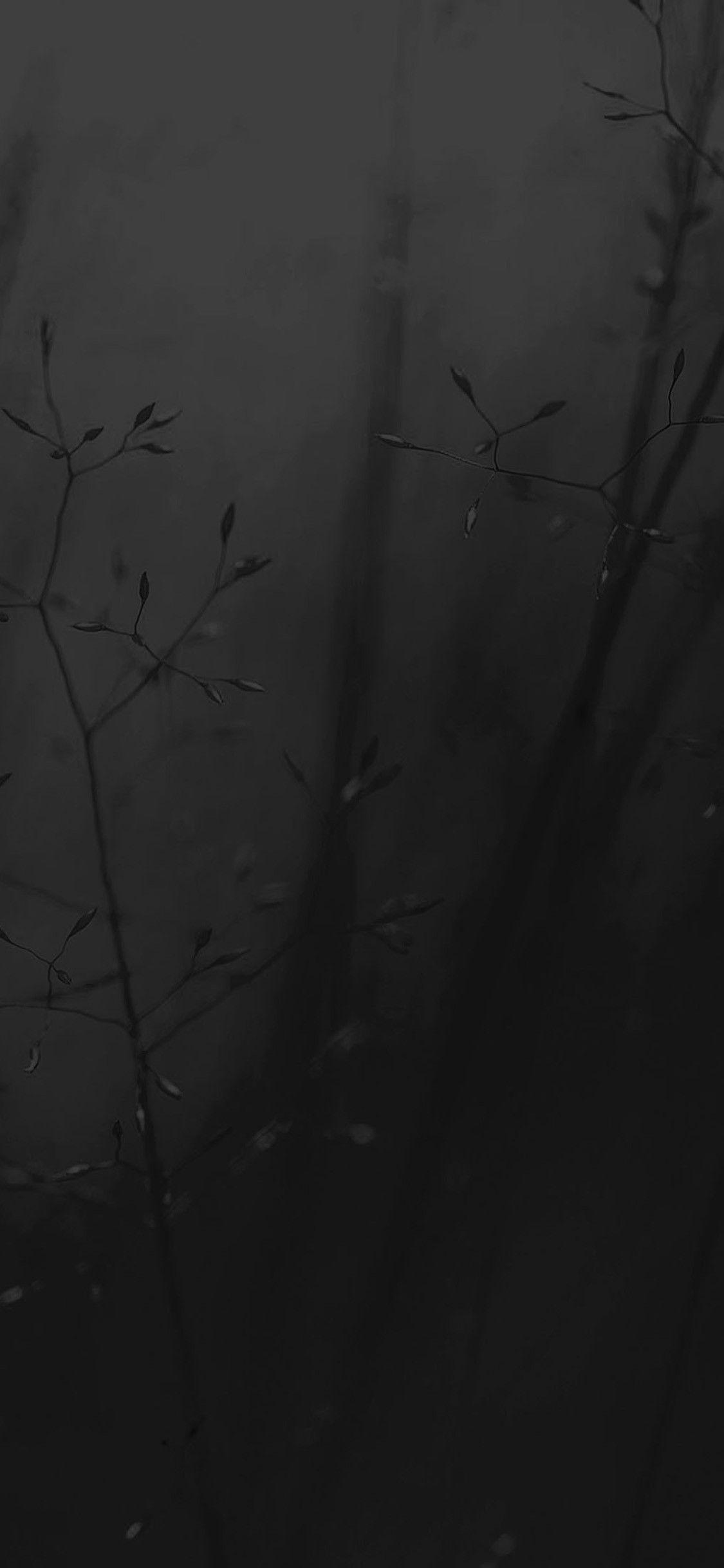 iPhone Black Flower Wallpapers Top Free iPhone Black Flower