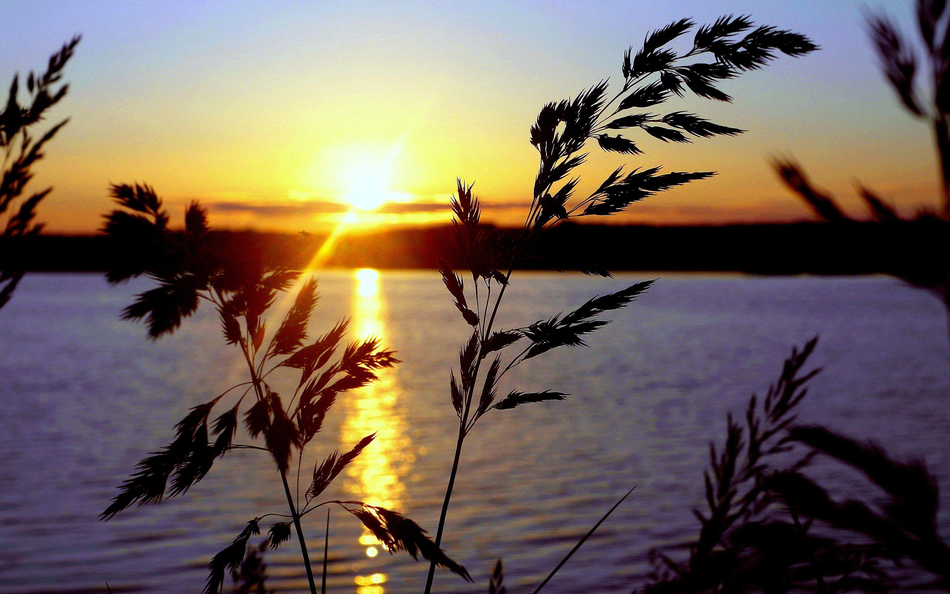 June Nature Wallpapers Top Free June Nature Backgrounds WallpaperAccess