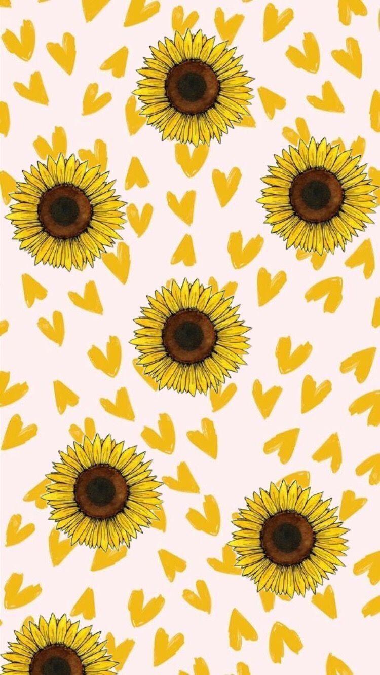 Cute Cartoon Sunflower Wallpapers Top Free Cute Cartoon Sunflower