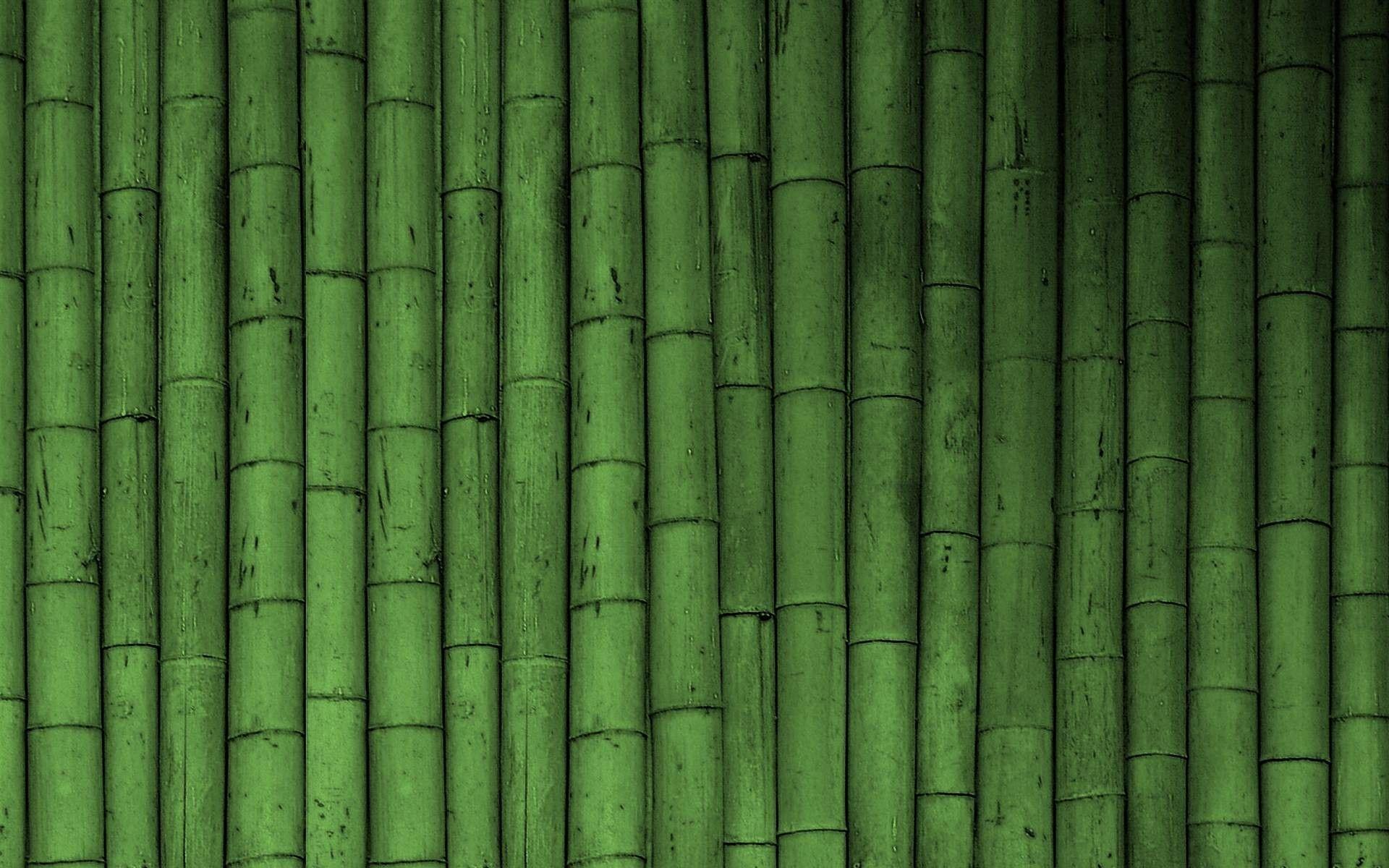 Green Bamboo Wallpapers Top Free Green Bamboo Backgrounds