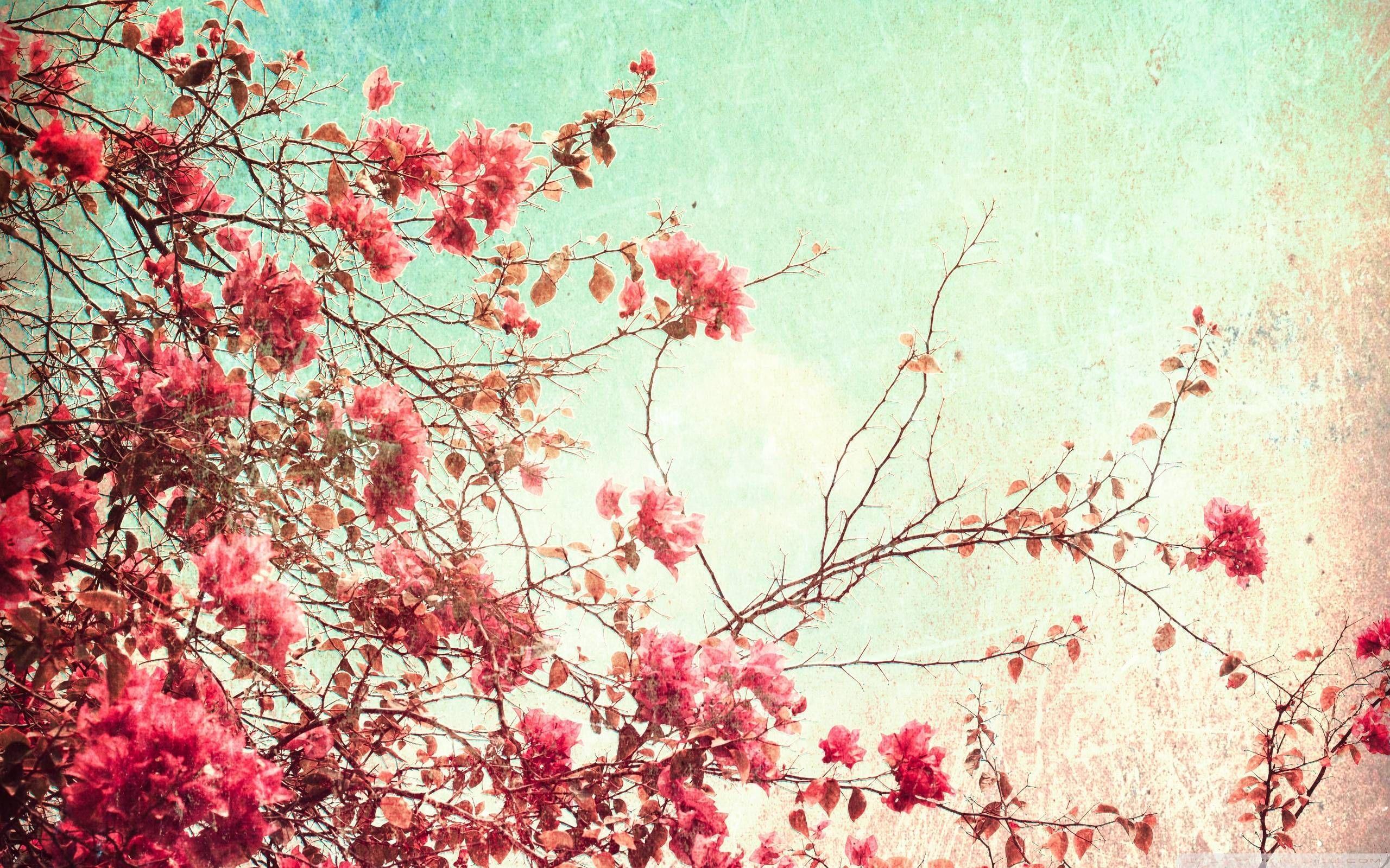 Vintage High Resolution Wallpapers Top Free Vintage High Resolution