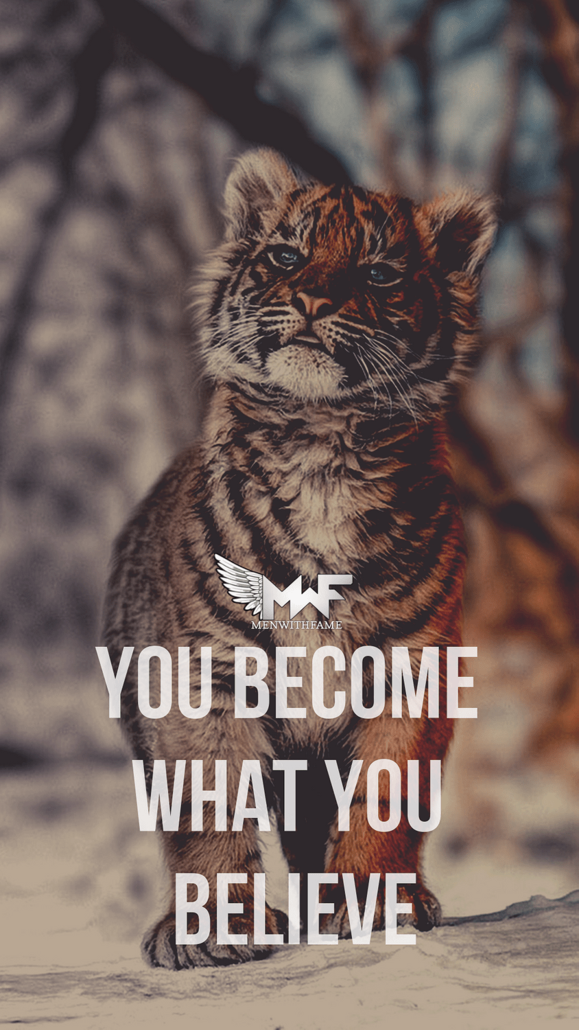 Animal Quotes Wallpapers Top Free Animal Quotes Backgrounds