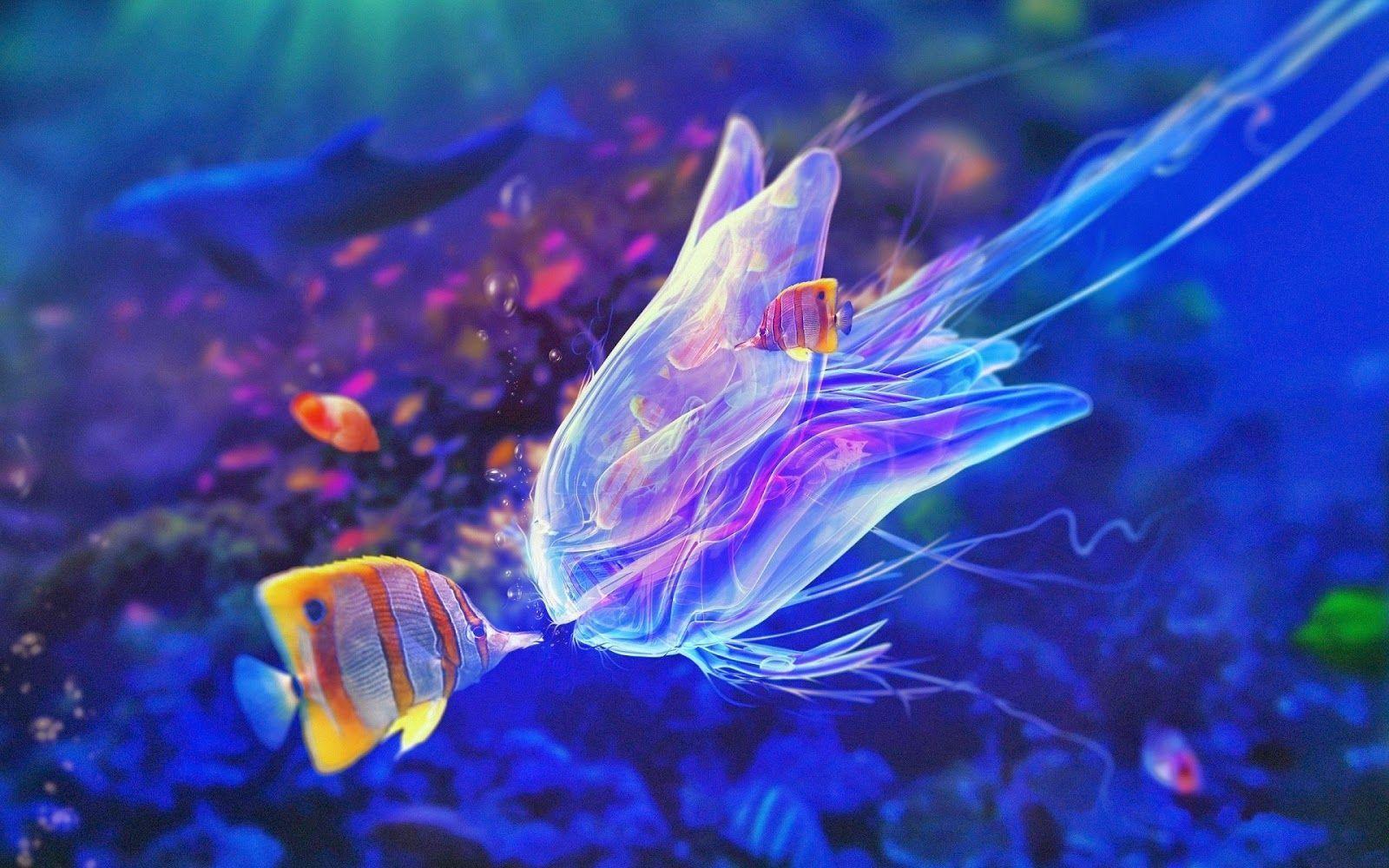Cute Fish Wallpapers Top Free Cute Fish Backgrounds WallpaperAccess