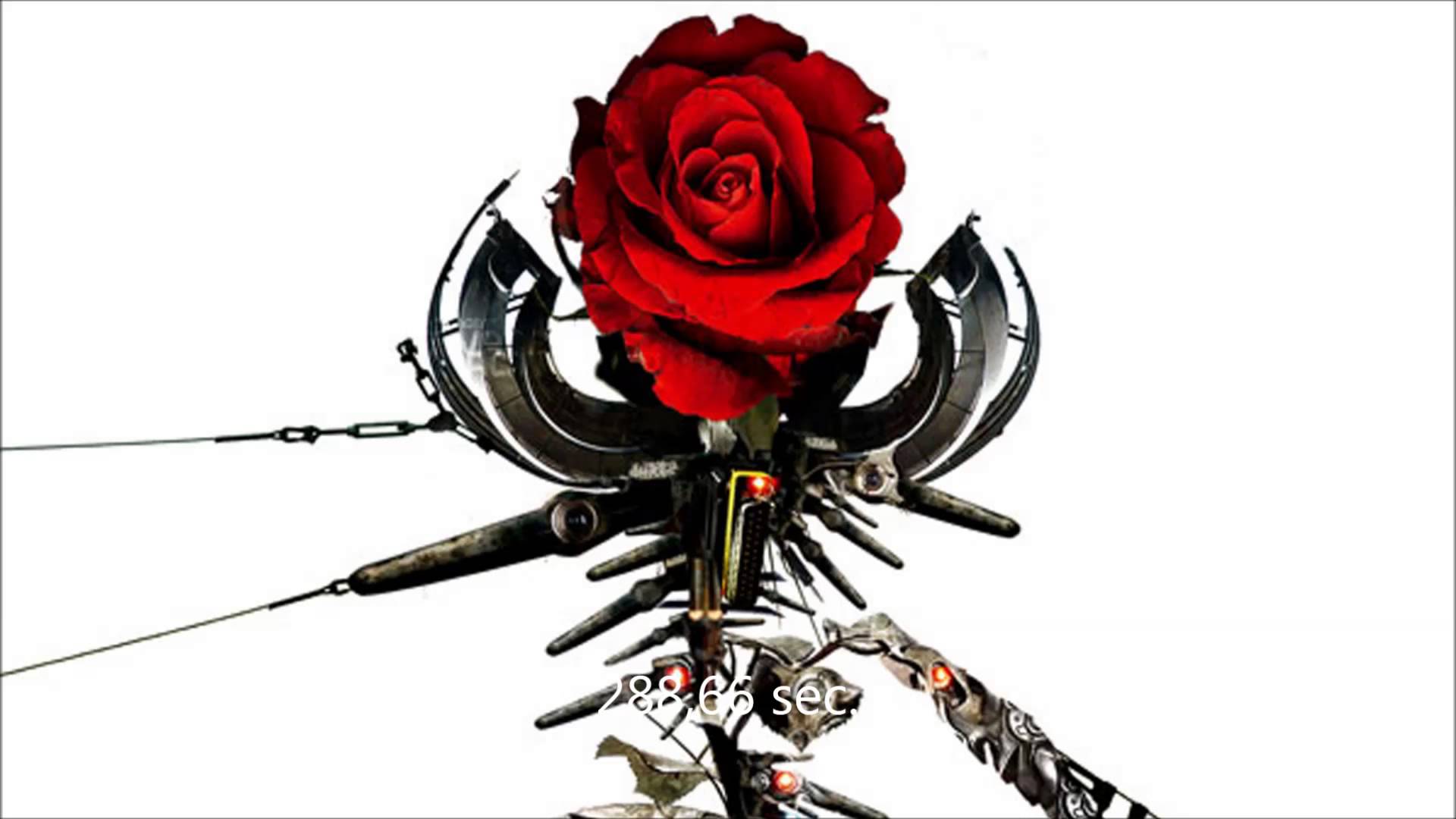 Dope Rose Wallpapers Top Free Dope Rose Backgrounds WallpaperAccess