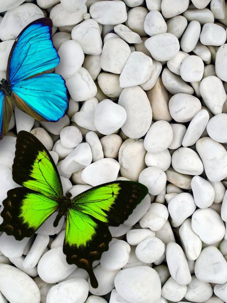 Butterfly iPad Wallpapers Top Free Butterfly iPad Backgrounds