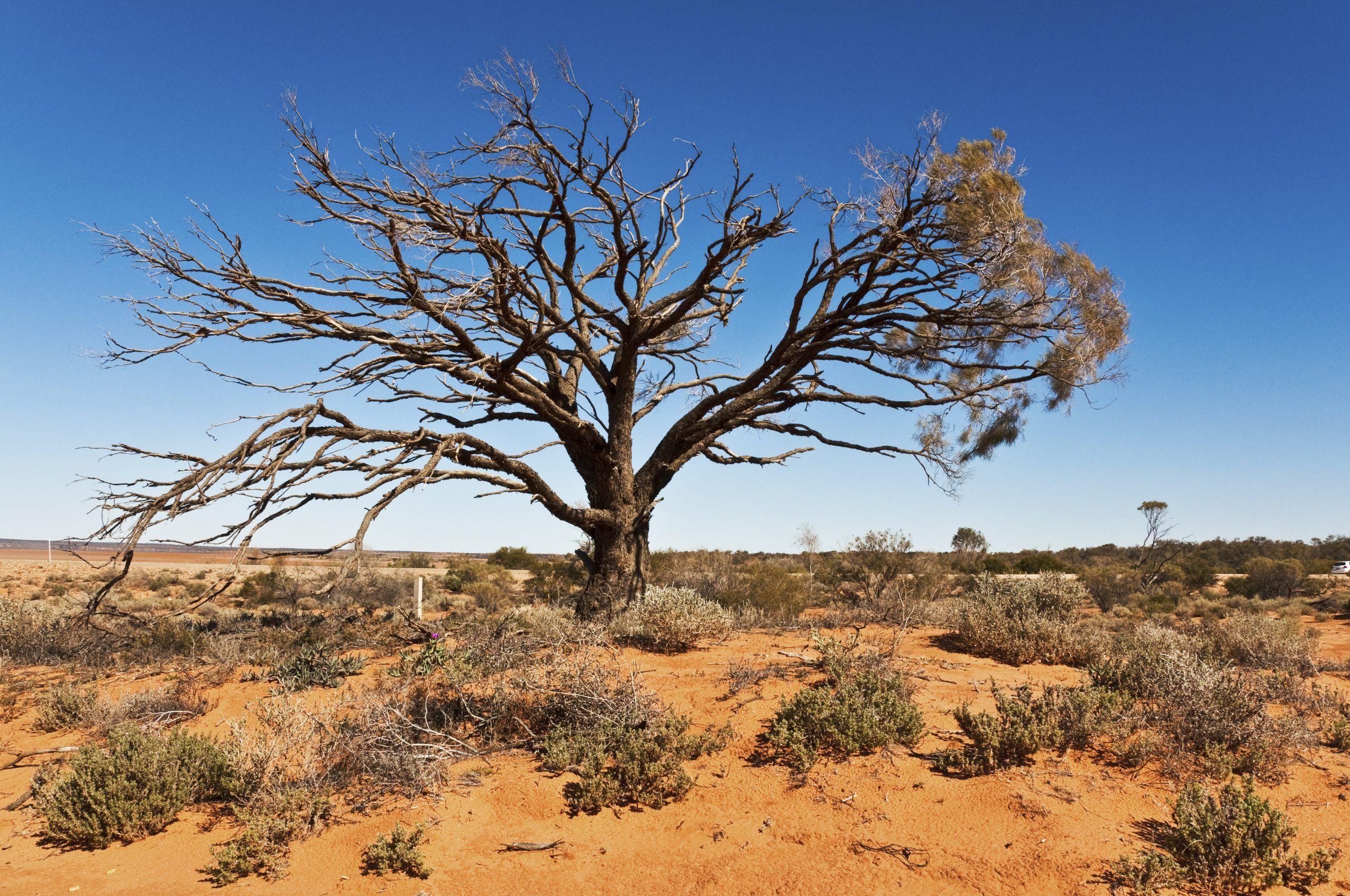 Australian Outback Wallpapers Top Free Australian Outback Backgrounds