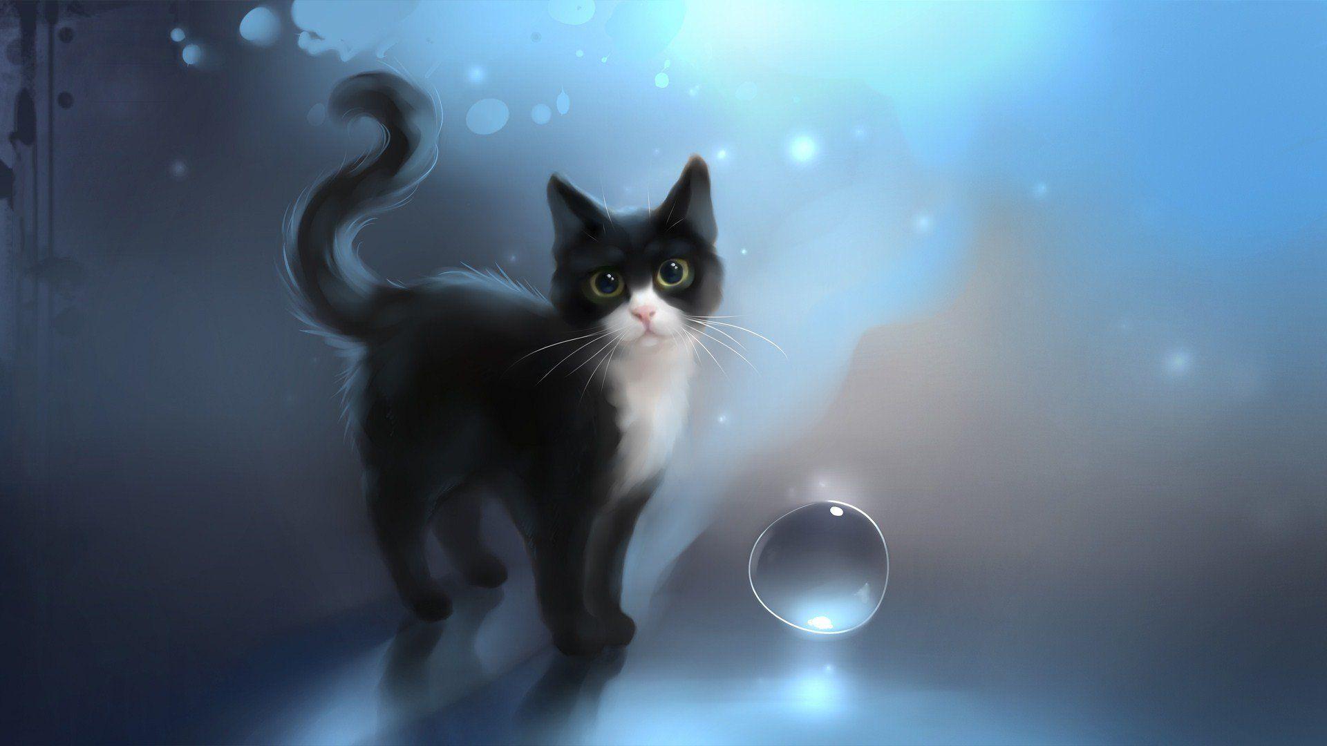 Abstract Cats Wallpapers Top Free Abstract Cats Backgrounds