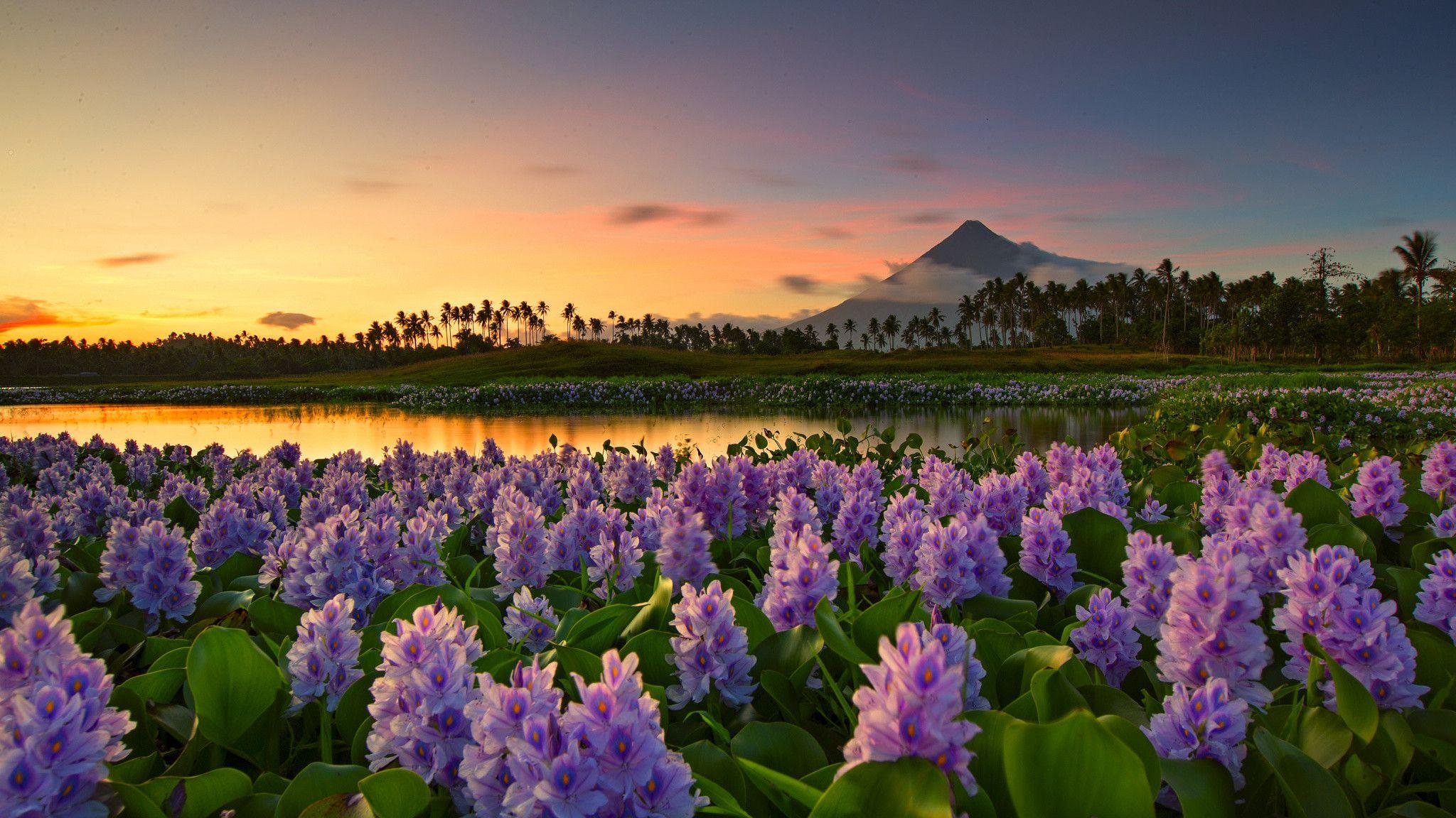 Philippine Landscape Wallpapers Top Free Philippine Landscape