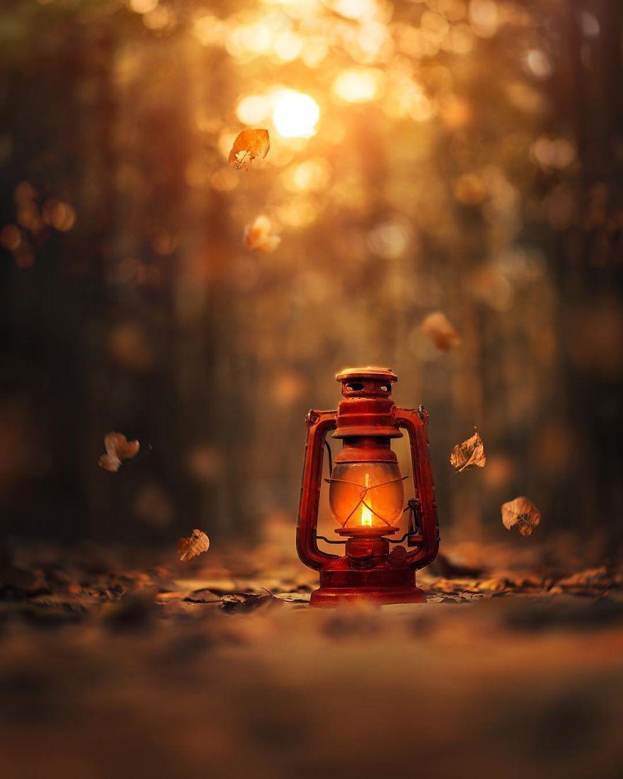 Autumn Lantern Wallpapers Top Free Autumn Lantern Backgrounds