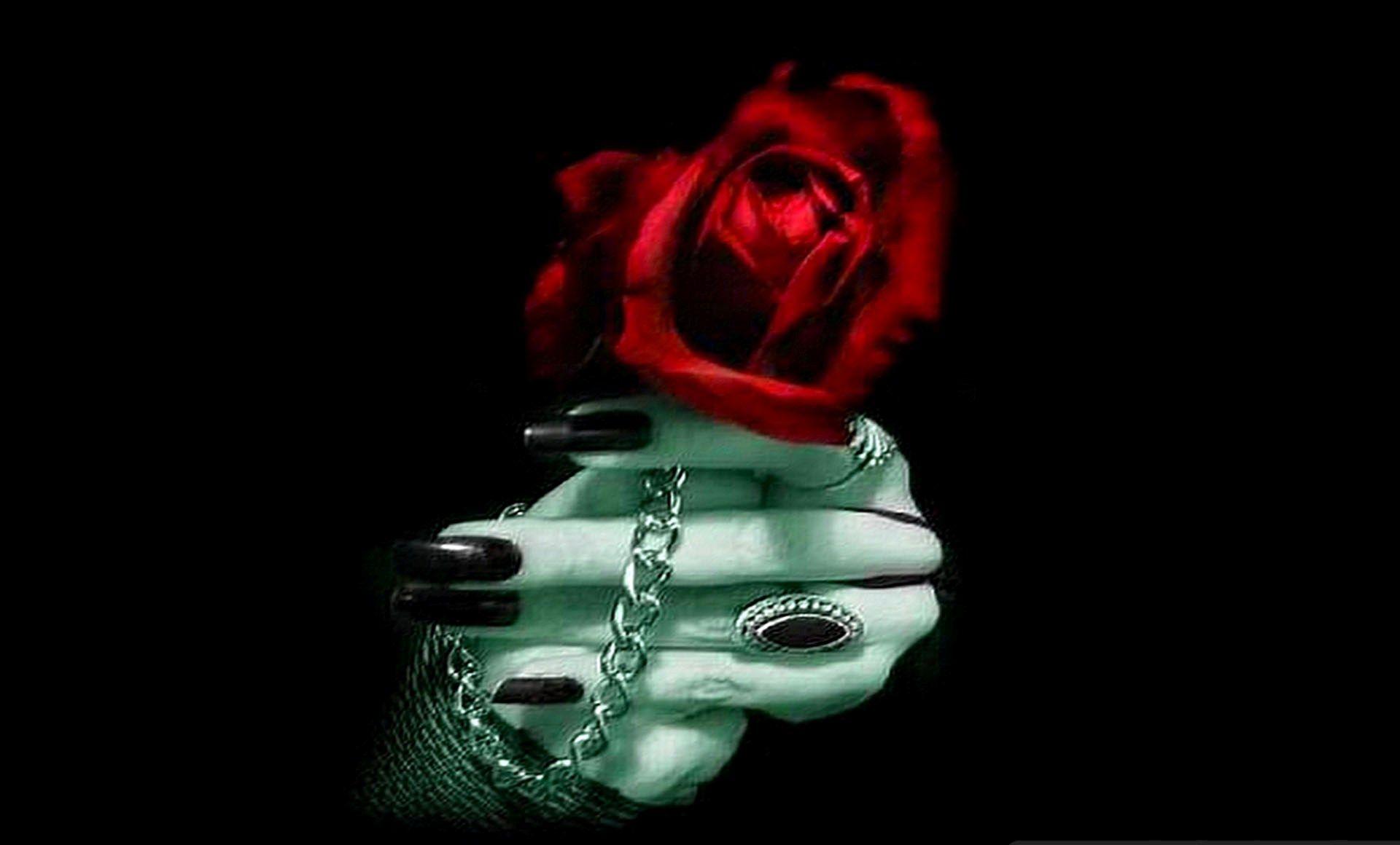 Gothic Roses Wallpapers Top Free Gothic Roses Backgrounds