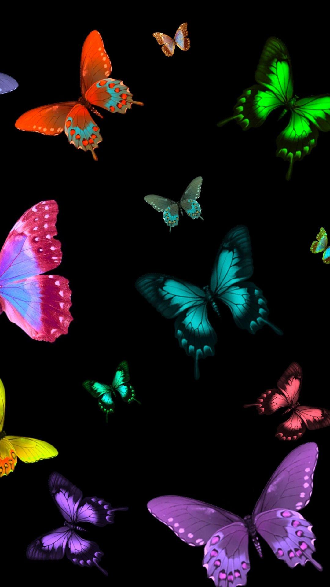 Black Butterfly HD Wallpapers Top Free Black Butterfly HD Backgrounds