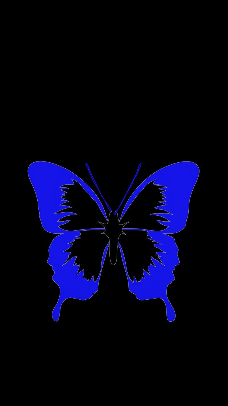 Black Butterfly HD Wallpapers Top Free Black Butterfly HD Backgrounds