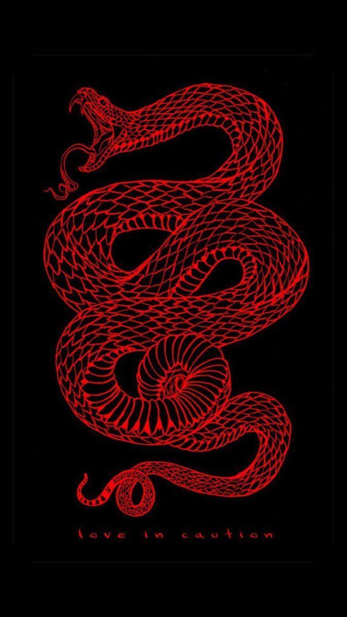 Red and Black Snake Wallpapers Top Free Red and Black Snake