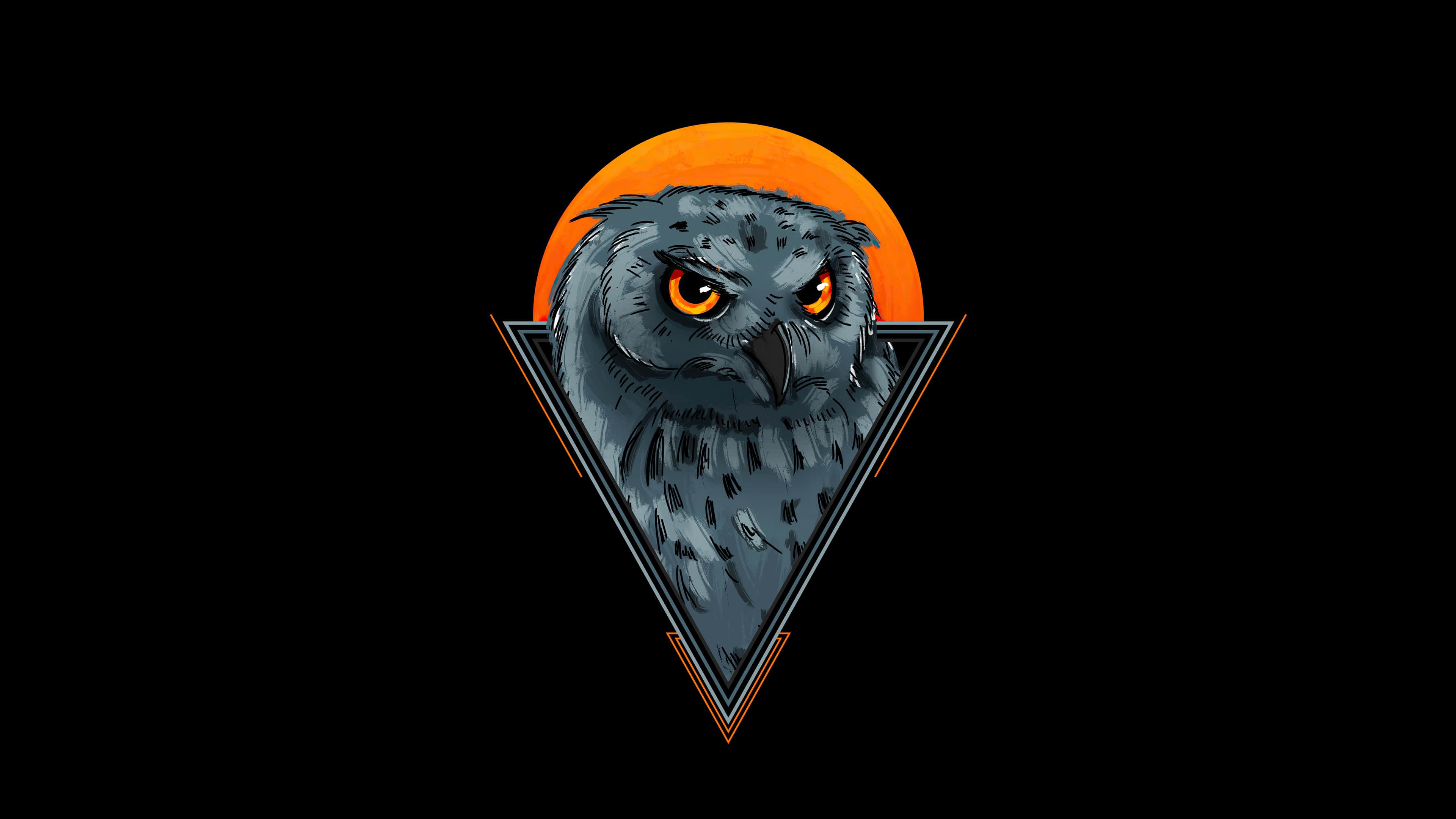 Owl 4k Wallpapers Top Free Owl 4k Backgrounds WallpaperAccess