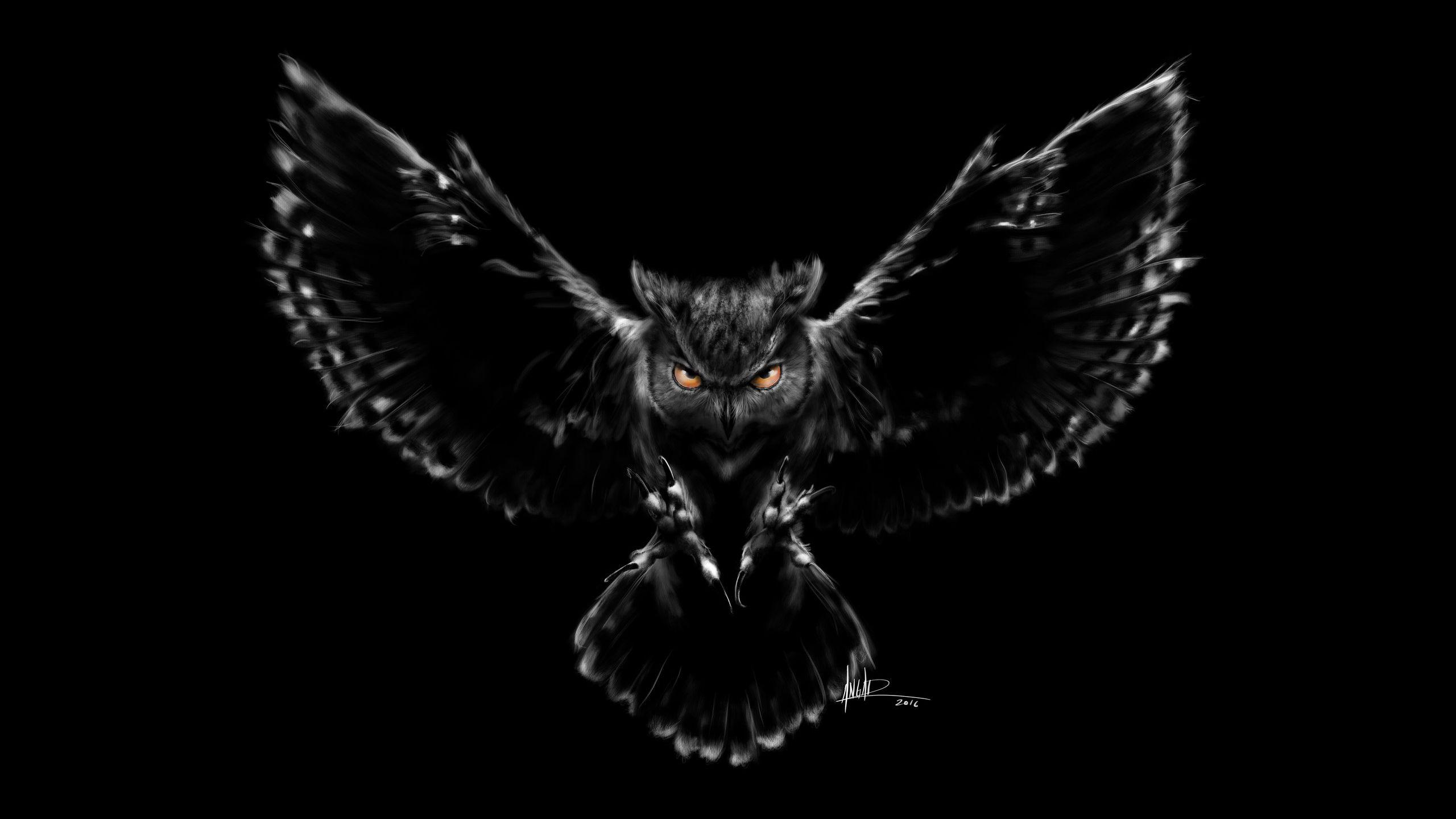 Owl 4k Wallpapers Top Free Owl 4k Backgrounds WallpaperAccess